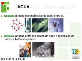 ÁGUA – COESÃO X ADESÃO
 Coesão: atração das moléculas de água entre si.
 Adesão: atração entre moléculas de água e moléculas de
outras substâncias polares.
 
