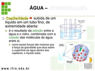 ÁGUA – PROPRIEDADES
3- Capilaridade  subida de um
líquido em um tubo fino, de
extremidade aberta:
 é o resultado da adesão entre a
água e o vidro, combinada com a
coesão das moléculas de água
entre si:
 como essas forças são maiores que
a força da gravidade que atua sobre
a superfície da água dentro dos
capilares, o líquido sobe.
 