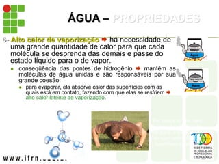 ÁGUA – PROPRIEDADES
6- Alto calor de vaporização  há necessidade de
uma grande quantidade de calor para que cada
molécula se desprenda das demais e passe do
estado líquido para o de vapor.
 conseqüência das pontes de hidrogênio  mantêm as
moléculas de água unidas e são responsáveis por sua
grande coesão:
 para evaporar, ela absorve calor das superfícies com as
quais está em contato, fazendo com que elas se resfriem 
alto calor latente de vaporização.
Por causa do alto calor
latente de vaporização
da água, a evaporação
do suor resfria nossas
superfícies corporais.
 