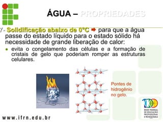 ÁGUA – PROPRIEDADES
7- Solidificação abaixo de 0°C  para que a água
passe do estado líquido para o estado sólido há
necessidade de grande liberação de calor:
 evita o congelamento das células e a formação de
cristais de gelo que poderiam romper as estruturas
celulares.
Pontes de
hidrogênio
no gelo.
 
