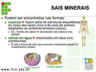 SAIS MINERAIS
 Podem ser encontrados nas formas:
 insolúvel  fazem parte de estruturas esqueléticas
do corpo dos seres vivos e de ovos de animais
adaptados ao ambiente terrestre (casca).
 Ex.: fosfato de cálcio  abundante nos ossos e nos
dentes.
 solúvel em água  dissociados em seus íons
constituintes:
 É sob a forma de íons que exercem importante papel no
metabolismo celular.
Célula animal Célula vegetal
 