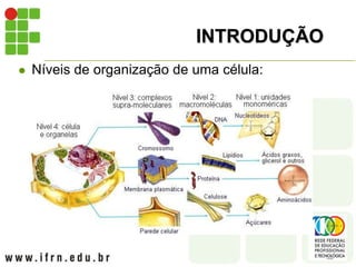 INTRODUÇÃO
 Níveis de organização de uma célula:
Célula vegetal
 
