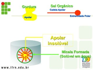 Sal Orgânico
Cadeia Apolar
Extremidade Polar
Gordura
Apolar
Micela Formada
(Solúvel em água)
Apolar
insolúvel
 