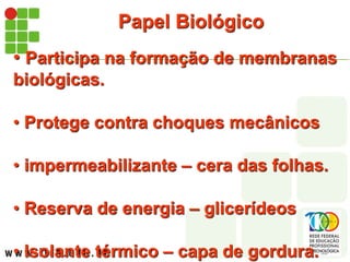 Papel Biológico
• Participa na formação de membranas
biológicas.
• Protege contra choques mecânicos
• impermeabilizante – cera das folhas.
• Reserva de energia – glicerídeos
• Isolante térmico – capa de gordura.
 
