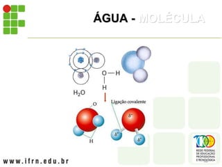 ÁGUA - MOLÉCULA
 