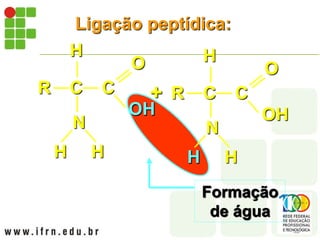 C C
R
N
H
H H
OH
O
C C
R
N
H
H H
OH
O
OH
H
+
Ligação peptídica:
Formação
de água
 