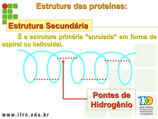 Estrutura das proteínas:
Estrutura Secundária
É a estrutura primária “enrolada” em forma de
espiral ou helicoidal.
Pontes de
Hidrogênio
 