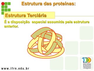 Estrutura das proteínas:
Estrutura Terciária
É a disposição espacial assumida pela estrutura
anterior.
 