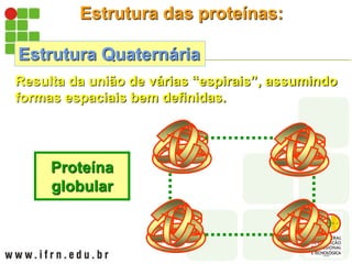 Estrutura das proteínas:
Estrutura Quaternária
Resulta da união de várias “espirais”, assumindo
formas espaciais bem definidas.
Proteína
globular
 