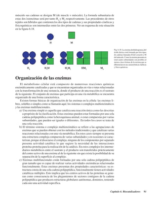 Capítulo 6. Biocatalizadores 91
Fig. 6.18. La enzima deshidrogenasa del
ácido láctico está formada por dos tipos
de cadenas llamadas H del corazón y M
del músculo. Como la enzima presenta en
total cuatro subunidades son posibles al
menos cinco formas de la enzima que se
diferencianensuscaracterísticascinéticas
y físico químicas.
músculo sus cadenas se designa M (de muscle = músculo). La formula subunitaria de
estas dos isoenzimas será por tanto H4
y M4
respectivamente. Las procedentes de otros
tejidos son híbridos que contienen los dos tipos de cadenas y sus propiedades cinéticas y
físicoquímicas son intermedias entre las dos primeras. Ver un esquema de esta situación
en la figura 6.18.
Organización de las enzimas
El metabolismo celular está compuesto de numerosas reacciones químicas
enzimáticamente catalizadas y que se encuentran organizadas en vías o rutas relacionadas
con la transformación de una sustancia, donde el producto de una reacción es el sustrato
de la siguiente. El conjunto de enzimas que participa en una vía metabólica se encuentra
organizado de una forma característica.
Existen formas básicas de organización de las enzimas en la célula: las enzimas li-
bres, solubles o simples como se llamarán aquí; los sistemas o complejos multienzimáticos
y las enzimas multifuncionales.
a) Una enzima simple es aquella que cataliza una reacción única como las descritas
a propósito de la clasificación. Estas enzimas pueden estar formadas por una sola
cadena polipeptídica como la hexoquinasa animal, o estar compuestas por varias
subunidades, que pueden ser iguales o diferentes. En todos los casos se trata de
una sola reacción.
b) El término sistema o complejo multienzimático se refiere a las agrupaciones de
enzimas que se pueden obtener con los métodos tradicionales y que catalizan varias
reacciones relacionadas con una vía metabólica. En estos casos siempre se presenta
una estructura compleja compuesta de varias subunidades y en ocasiones se carac-
terizan, porque al disociarse el complejo, ninguno de los componentes por separado
presenta actividad catalítica lo que sugiere la necesidad de las interacciones
proteína-proteína para la realización de la catálisis. En estos complejos los interme-
diarios metabólicos entre el sustrato y el producto son transferidos prácticamente
del centro activo de una enzima al de la siguiente sin que exista la posibilidad de su
separación de la superficie al complejo.
c) Enzimas multifuncionales están formadas por una sola cadena polipeptídica de
gran tamaño que es capaz de realizar varias actividades enzimáticas relacionadas
funcionalmente. Estas enzimas presentan dos propiedades características: su es-
tructura consta de una sola cadena polipeptídica, funcionalmente tienen actividades
catalíticas múltiples. Esto implica que los centros activos de las proteínas se gene-
ran como consecuencia de los plegamientos de sectores contiguos de la cadena
polipeptídica que producen estructuras globulares autónomas, dominios, teniendo
cada uno una actividad específica.
http://MedicoModerno.Blogspot.com
 