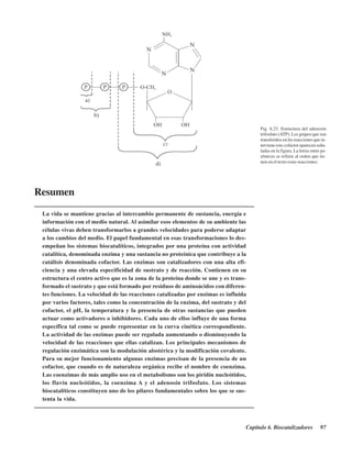 Capítulo 6. Biocatalizadores 97
Resumen
La vida se mantiene gracias al intercambio permanente de sustancia, energía e
información con el medio natural. Al asimilar esos elementos de su ambiente las
células vivas deben transformarlos a grandes velocidades para poderse adaptar
a los cambios del medio. El papel fundamental en esas transformaciones lo des-
empeñan los sistemas biocatalíticos, integrados por una proteína con actividad
catalítica, denominada enzima y una sustancia no proteínica que contribuye a la
catálisis denominada cofactor. Las enzimas son catalizadores con una alta efi-
ciencia y una elevada especificidad de sustrato y de reacción. Contienen en su
estructura el centro activo que es la zona de la proteína donde se une y es trans-
formado el sustrato y que está formado por residuos de aminoácidos con diferen-
tes funciones. La velocidad de las reacciones catalizadas por enzimas es influida
por varios factores, tales como la concentración de la enzima, del sustrato y del
cofactor, el pH, la temperatura y la presencia de otras sustancias que pueden
actuar como activadores o inhibidores. Cada uno de ellos influye de una forma
específica tal como se puede representar en la curva cinética correspondiente.
La actividad de las enzimas puede ser regulada aumentando o disminuyendo la
velocidad de las reacciones que ellas catalizan. Los principales mecanismos de
regulación enzimática son la modulación alostérica y la modificación covalente.
Para su mejor funcionamiento algunas enzimas precisan de la presencia de un
cofactor, que cuando es de naturaleza orgánica recibe el nombre de coenzima.
Las coenzimas de más amplio uso en el metabolismo son los piridín nucleótidos,
los flavín nucleótidos, la coenzima A y el adenosín trifosfato. Los sistemas
biocatalíticos constituyen uno de los pilares fundamentales sobre los que se sus-
tenta la vida.
Fig. 6.23. Estructura del adenosín
trifosfato (ATP). Los grupos que son
transferidos en las reacciones que in-
terviene este cofactor aparecen seña-
ladas en la figura. La letras entre pa-
réntesis se refiere al orden que tie-
nen en el texto estas reacciones.
http://MedicoModerno.Blogspot.com
 