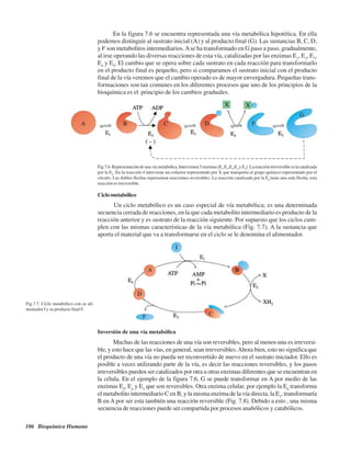 106 Bioquímica Humana
En la figura 7.6 se encuentra representada una vía metabólica hipotética. En ella
podemos distinguir al sustrato inicial (A) y al producto final (G). Las sustancias B, C, D,
y F son metabolitos intermediarios.Ase ha transformado en G paso a paso, gradualmente,
al irse operando las diversas reacciones de esta vía, catalizadas por las enzimas E1
, E2
, E3
,
E4
y E5
. El cambio que se opera sobre cada sustrato en cada reacción para transformarlo
en el producto final es pequeño, pero si comparamos el sustrato inicial con el producto
final de la vía veremos que el cambio operado es de mayor envergadura. Pequeñas trans-
formaciones son tan comunes en los diferentes procesos que uno de los principios de la
bioquímica es el principio de los cambios graduales.
Ciclometabólico
Un ciclo metabólico es un caso especial de vía metabólica; es una determinada
secuencia cerrada de reacciones, en la que cada metabolito intermediario es producto de la
reacción anterior y es sustrato de la reacción siguiente. Por supuesto que los ciclos cum-
plen con las mismas características de la vía metabólica (Fig. 7.7). A la sustancia que
aporta el material que va a transformarse en el ciclo se le denomina el alimentador.
Fig.7.7. Ciclo metabólico con su ali-
mentador I y su producto final F.
Inversión de una vía metabólica
Muchas de las reacciones de una vía son reversibles, pero al menos una es irreversi-
ble, y esto hace que las vías, en general, sean irreversibles.Ahora bien, esto no significa que
el producto de una vía no pueda ser reconvertido de nuevo en el sustrato iniciador. Ello es
posible a veces utilizando parte de la vía, es decir las reacciones reversibles, y los pasos
irreversibles pueden ser catalizados por otra u otras enzimas diferentes que se encuentran en
la célula. En el ejemplo de la figura 7.6, G se puede transformar en A por medio de las
enzimas E5
, E4
y E3
que son reversibles. Otra enzima celular, por ejemplo la E6
transforma
el metabolito intermediario C en B, y la misma enzima de la vía directa, la E1
, transformaría
B en A por ser esta también una reacción reversible (Fig. 7.8). Debido a esto , una misma
secuencia de reacciones puede ser compartida por procesos anabólicos y catabólicos.
Fig.7.6.Representacióndeunavíametabólica.Intervienen5enzimas(E1
,E2
,E3
,E4
y E5
).Lareacciónirreversibleeslacatalizada
por la E2
. En la reacción 4 interviene un cofactor representado por X que transporta al grupo químico representado por el
círculo. Las dobles flechas representan reacciones reversibles. La reacción catalizada por la E2
tiene una sola flecha, esta
reacción es irreversible.
http://MedicoModerno.Blogspot.com
 