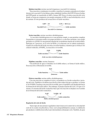 112 Bioquímica Humana
Quinta reacción: enzima succinil-tioquinasa o succinil CoA sintetasa
Esta reacción es totalmente reversible y transfiere la energía contenida en el enlace
tíoester de la succinil-CoAal último enlace anhídrido fosfórico del GTP. El tercer fosfato
del GTP puede ser transferido al ADP y formar ATP. Esta es la única reacción del ciclo
donde se forma un compuesto con energía semejante alATP, es una fosforilación a nivel
de sustrato. El otro producto de la reacción es el ácido succínico.
Sexta reacción: enzima succínico deshidrogenasa
La succínico deshidrogenasa no es una proteína simple, es una proteína compleja
(la proteína se encuentra unida a un grupo prostético), es una flavo proteína, cuyo grupo
prostético es el FAD. Es una proteína integral de la membrana interna de la mitocondria.
Participa en 2 procesos, en el ciclo de Krebs y lo relaciona con la cadena respiratoria.
Cataliza la oxidación del ácido succínico en ácido fumárico, mientras que se forma el 3er
cofactor reducido, el FADH2
. La reacción es reversible.
Séptima reacción: enzima fumarasa
Una molécula de agua se introduce en el doble enlace y se forma el ácido málico.
Esta reacción es libremente reversible.
Octava reacción: enzima málico deshidrogenasa
Con esta reacción se completa el ciclo y su producto es el ácido oxalacético, inicia-
dor del ciclo. También es la última reacción de oxido-reducción que se produce; se forma
el 3er NADH. Constituye una reacción reversible, pero el equilibrio está desplazado hacia
la formación de del ácido málico. Sin embargo, la propia marcha del ciclo, o lo que es lo
mismo, el consumo del ácido oxalacético hace que esta reacción se desplace en el sentido
de la formación del ácido oxalacético.
Regulación del ciclo de Krebs
Varios tipos de mecanismos reguladores intervienen en el control de la velocidad del
ciclo de los ácidos tricarboxílicos. Estos son la disponibilidad de sustrato, la inhibición
por producto o inhibición feedback por intermediarios del propio ciclo. También, de gran
http://MedicoModerno.Blogspot.com
 