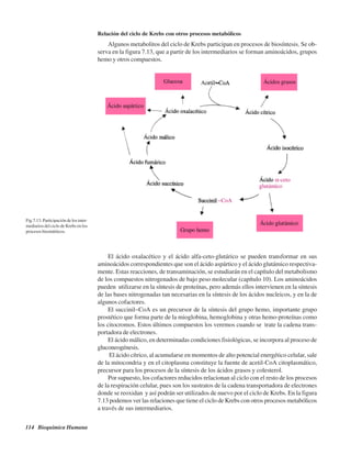 114 Bioquímica Humana
Relación del ciclo de Krebs con otros procesos metabólicos
Algunos metabolitos del ciclo de Krebs participan en procesos de biosíntesis. Se ob-
serva en la figura 7.13, que a partir de los intermediarios se forman aminoácidos, grupos
hemo y otros compuestos.
El ácido oxalacético y el ácido alfa-ceto-glutárico se pueden transformar en sus
aminoácidos correspondientes que son el ácido aspártico y el ácido glutámico respectiva-
mente. Estas reacciones, de transaminación, se estudiarán en el capítulo del metabolismo
de los compuestos nitrogenados de bajo peso molecular (capítulo 10). Los aminoácidos
pueden utilizarse en la síntesis de proteínas, pero además ellos intervienen en la síntesis
de las bases nitrogenadas tan necesarias en la síntesis de los ácidos nucleicos, y en la de
algunos cofactores.
El succinil~CoA es un precursor de la síntesis del grupo hemo, importante grupo
prostético que forma parte de la mioglobina, hemoglobina y otras hemo-proteínas como
los citocromos. Estos últimos compuestos los veremos cuando se trate la cadena trans-
portadora de electrones.
El ácido málico, en determinadas condiciones fisiológicas, se incorpora al proceso de
gluconeogénesis.
El ácido cítrico, al acumularse en momentos de alto potencial energético celular, sale
de la mitocondria y en el citoplasma constituye la fuente de acetil-CoA citoplasmático,
precursor para los procesos de la síntesis de los ácidos grasos y colesterol.
Por supuesto, los cofactores reducidos relacionan al ciclo con el resto de los procesos
de la respiración celular, pues son los sustratos de la cadena transportadora de electrones
donde se reoxidan y así podrán ser utilizados de nuevo por el ciclo de Krebs. En la figura
7.13 podemos ver las relaciones que tiene el ciclo de Krebs con otros procesos metabólicos
a través de sus intermediarios.
Fig.7.13. Participación de los inter-
mediarios del ciclo de Krebs en los
procesos biosintéticos.
http://MedicoModerno.Blogspot.com
 