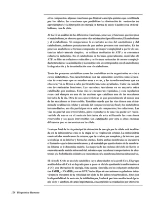 128 Bioquímica Humana
otros compuestos, algunas reacciones que liberan la energía química que es utilizada
por las células, las reacciones que posibilitan la eliminación de sustancias no
aprovechables y la liberación de energía en forma de calor. Cuando cesa el meta-
bolismo, cesa la vida.
Al hacer un análisis de las diferentes reacciones, procesos y funciones que integran
el metabolismo, se observa que entre ellas existen dos tipos diferentes; El anabolismo
y el catabolismo. Si comparamos lo estudiado acerca del anabolismo y del
catabolismo, podemos percatarnos de que ambos procesos son contrarios. En los
procesos anabólicos se forman compuestos de mayor complejidad a partir de sus-
tancias relativamente simples; se utilizan moléculas de ATP y se consumen
cofactores reducidos. En el catabolismo se forman, generalmente, moléculas de
ATP; se liberan cofactores reducidos y se forman sustancias de menor compleji-
dad estructural. La asimilación y la construcción se corresponden con el anabolismo;
la degradación y la desasimilación con el catabolismo.
Tanto los procesos catabólicos como los anabólicos están organizados en vías o
ciclos metabólicos. Sus características son las siguientes: ocurren como secuen-
cias de reacciones que se suceden unas a otras, y las transformaciones que en
ellas ocurren se llevan a cabo por transformaciones graduales. Cada vía cumple
con determinadas funciones. Las sucesivas reacciones en su mayoría están
catalizadas por enzimas. Estas vías se encuentran reguladas, y esta regulación
recae casi siempre en una de las enzimas que catalizan una de las reacciones
iniciales de la vía. Otra de sus características es que generalmente al menos una
de las reacciones es irreversible. También sucede que las vías tienen una deter-
minada localización celular y además del compuesto inicial, final y los metabolitos
intermediarios, en ella participan otra serie de compuestos; los cofactores. Las
vías en general son irreversibles, pero el producto de una vía puede ser recon-
vertido de nuevo en el sustrato iniciador de esta utilizando las reacciones
reversibles y los pasos irreversibles son catalizados por otra u otras enzimas
diferentes que se encuentren en la célula.
La etapa final de la vía principal de obtención de energía por la célula está localiza-
da en la mitocondria; esta es la etapa de la respiración celular. La mitocondria
consta de dos membranas: la externa, que la recubre por completo, y la interna, que
se repliega en su interior y forma las crestas. Entre ambas membranas se encuentra
el llamado espacio intermembranoso; y al material que queda dentro de la membra-
na interna se le denomina matriz. La mayoría de las enzimas del ciclo de Krebs se
encuentra en la matriz mitocondrial, mientras que la cadena transportadora de elec-
trones y la fosforilación oxidativa se encuentran en la membrana interna mitocondrial.
El ciclo de Krebs es un ciclo catabólico cuyo alimentador es la acetil-CoA. El grupo
acetilo del acetil-CoA se degrada paso a paso en el ciclo quedando transformado en
2 CO2
con liberación de energía. Esta queda contenida en los cofactores reducidos
(un FADH2
y 3 NADH) y en un GTP. Varios tipos de mecanismos reguladores inter-
vienen en el control de la velocidad del ciclo de los ácidos tricarboxílicos. Estos son
la disponibilidad de sustrato, la inhibición por feedback por intermediarios del pro-
pio ciclo y también, de gran importancia, está presente la regulación por efectores
http://MedicoModerno.Blogspot.com
 