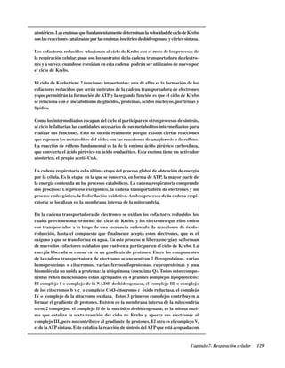 Capítulo 7. Respiración celular 129
alostéricos.LasenzimasquefundamentalmentedeterminanlavelocidaddeciclodeKrebs
son las reacciones catalizadas por las enzimas isocítrico deshidrogenasa y cítrico sintasa.
Los cofactores reducidos relacionan al ciclo de Krebs con el resto de los procesos de
la respiración celular, pues son los sustratos de la cadena transportadora de electro-
nes y a su vez, cuando se reoxidan en esta cadena podrán ser utilizados de nuevo por
el ciclo de Krebs.
El ciclo de Krebs tiene 2 funciones importantes: una de ellas es la formación de los
cofactores reducidos que serán sustratos de la cadena transportadora de electrones
y que permitirán la formación de ATP y la segunda función es que el ciclo de Krebs
se relaciona con el metabolismo de glúcidos, proteínas, ácidos nucleicos, porfirinas y
lípidos.
Como los intermediarios escapan del ciclo al participar en otros procesos de síntesis,
al ciclo le faltarían las cantidades necesarias de sus metabolitos intermediarios para
realizar sus funciones. Esto no sucede realmente porque existen ciertas reacciones
que reponen los metabolitos del ciclo; son las reacciones de anaplerosis o de relleno.
La reacción de relleno fundamental es la de la enzima ácido pirúvico carboxilasa,
que convierte el ácido pirúvico en ácido oxalacético. Esta enzima tiene un activador
alostérico, el propio acetil-CoA.
La cadena respiratoria es la última etapa del proceso global de obtención de energía
por la célula. Es la etapa en la que se conserva, en forma de ATP, la mayor parte de
la energía contenida en los procesos catabólicos. La cadena respiratoria comprende
dos procesos: Un proceso exergónico, la cadena transportadora de electrones y un
proceso endergónico, la fosforilación oxidativa. Ambos procesos de la cadena respi-
ratoria se localizan en la membrana interna de la mitocondria.
En la cadena transportadora de electrones se oxidan los cofactores reducidos los
cuales provienen mayormente del ciclo de Krebs, y los electrones que ellos ceden
son transportados a lo largo de una secuencia ordenada de reacciones de óxido-
reducción, hasta el compuesto que finalmente acepta estos electrones, que es el
oxígeno y que se transforma en agua. En este proceso se libera energía y se forman
de nuevo los cofactores oxidados que vuelven a participar en el ciclo de Krebs. La
energía liberada se conserva en un gradiente de protones. Entre los componentes
de la cadena transportadora de electrones se encuentran 2 flavoproteínas, varias
hemoproteínas o citocromos, varias ferrosulfoproteínas, cuproproteínas y una
biomolécula no unida a proteína: la ubiquinona (coenzima Q). Todos estos compo-
nentes redox mencionados están agrupados en 4 grandes complejos lipoproteicos:
El complejo I o complejo de la NADH deshidrogenasa, el complejo III o complejo
de los citocromos b y c1
o complejo CoQ-citocromo c óxido reductasa, el complejo
IV o complejo de la citocromo oxidasa. Estos 3 primeros complejos contribuyen a
formar el gradiente de protones. Existen en la membrana interna de la mitocondria
otros 2 complejos: el complejo II de la succínico deshidrogenasa; es la misma enzi-
ma que cataliza la sexta reacción del ciclo de Krebs y aporta sus electrones al
complejo III, pero no contribuye al gradiente de protones. El otro es el complejo V,
el de laATPsintasa. Este cataliza la reacción de síntesis delATPque está acoplada con
http://MedicoModerno.Blogspot.com
 