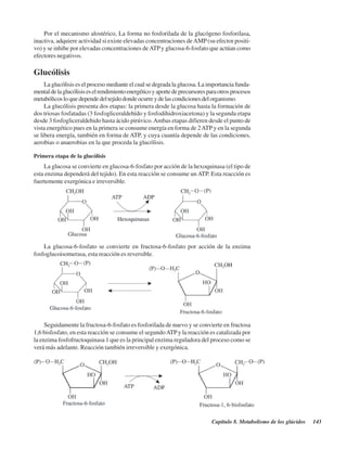 Capítulo 8. Metabolismo de los glúcidos 143
Por el mecanismo alostérico, La forma no fosforilada de la glucógeno fosforilasa,
inactiva, adquiere actividad si existe elevadas concentraciones deAMP(su efector positi-
vo) y se inhibe por elevadas concentraciones deATPy glucosa-6-fosfato que actúan como
efectores negativos.
Glucólisis
La glucólisis es el proceso mediante el cual se degrada la glucosa. La importancia funda-
mentaldelaglucólisiseselrendimientoenergéticoyaportedeprecursoresparaotrosprocesos
metabólicosloquedependedeltejidodondeocurreydelascondicionesdelorganismo.
La glucólisis presenta dos etapas: la primera desde la glucosa hasta la formación de
dos triosas fosfatadas (3 fosfogliceraldehído y fosfodihidroxiacetona) y la segunda etapa
desde 3 fosfogliceraldehido hasta ácido pirúvico.Ambas etapas difieren desde el punto de
vista energético pues en la primera se consume energía en forma de 2ATP y en la segunda
se libera energía, también en forma de ATP, y cuya cuantía depende de las condiciones,
aerobias o anaerobias en la que proceda la glucólisis.
Primera etapa de la glucólisis
La glucosa se convierte en glucosa-6-fosfato por acción de la hexoquinasa (el tipo de
esta enzima dependerá del tejido). En esta reacción se consume un ATP. Esta reacción es
fuertemente exergónica e irreversible.
La glucosa-6-fosfato se convierte en fructosa-6-fosfato por acción de la enzima
fosfoglucoisomerasa, esta reacción es reversible.
Seguidamente la fructosa-6-fosfato es fosforilada de nuevo y se convierte en fructosa
1,6 bisfosfato, en esta reacción se consume el segundoATPy la reacción es catalizada por
la enzima fosfofructoquinasa 1 que es la principal enzima reguladora del proceso como se
verá más adelante. Reacción también irreversible y exergónica.
http://MedicoModerno.Blogspot.com
 