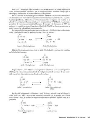 Capítulo 8. Metabolismo de los glúcidos 145
El ácido 1,3 bisfosfoglicérico formado en la reacción presenta un enlace anhídrido de
ácido, de alto contenido energético, que al hidrolizarse libera suficiente energía que se
utiliza para la formación de un ATP en la reacción siguiente.
En esta reacción de la deshidrogenasa, se forma NADH.H+
, el cual debe ser reoxidado
en alguna reacción ulterior de modo que no se acumule este cofactor reducido y se garan-
tice la disponibilidad del mismo en forma oxidada como lo requiere esta enzima. Si la
glucólisis ocurre en condiciones aeróbicas la reoxidación del NADH en la cadena trans-
portadora de electrones permitirá la liberación de energía y la formación de ATP. Sin
embargo en condiciones anaeróbicas la reoxidación del NADH no libera energía como se
podrá comprobar más adelante en este capítulo.
La enzima fosfogliceroquinasa actúa sobre el ácido 1,3 bisfosfoglicérico formando
ácido 3 fosfoglicérico + ATP por fosforilación a nivel de sustrato.
El ácido 3 fosfoglicérico se convierte en ácido 2 fosfoglicérico por la acción catalítica
de la fosfogliceromutasa.
Seguidamente a partir del ácido 2 fosfoglicérico se forma el ácido fosfoenolpirúvico
(PEP), por la extracción de una molécula de H2
O y formación de un enlace de alto conte-
nido energético. La reacción es catalizada por la enolasa.
La pirúvico quinasa es la enzima que, a partir del fosfoenolpirúvico + ADP forma el
ácido pirúvico + ATP, esta reacción, también irreversible, es la segunda reacción de
fosforilación a nivel de sustrato de la glucólisis y con ella culmina la segunda etapa de la
glucólisis.
http://MedicoModerno.Blogspot.com
 