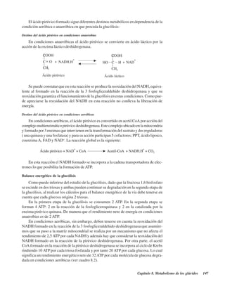 Capítulo 8. Metabolismo de los glúcidos 147
El ácido pirúvico formado sigue diferentes destinos metabólicos en dependencia de la
condición aeróbica o anaeróbica en que proceda la glucólisis:
Destino del ácido pirúvico en condiciones anaerobias
En condiciones anaeróbicas el ácido pirúvico se convierte en ácido láctico por la
acción de la enzima láctico deshidrogenasa.
Se puede constatar que en esta reacción se produce la reoxidación del NADH, equiva-
lente al formado en la reacción de la 3 fosfogliceraldehido deshidrogenasa y que su
reoxidación garantiza el funcionamiento de la glucólisis en estas condiciones. Como pue-
de apreciarse la reoxidación del NADH en esta reacción no conlleva la liberación de
energía.
Destino del ácido pirúvico en condiciones aeróbicas
En condiciones aeróbicas, el ácido pirúvico es convertido en acetil CoA por acción del
complejomultienzimáticopirúvicodeshidrogenasa.Estecomplejoubicadoenlamitocondria
y formado por 3 enzimas que intervienen en la transformación del sustrato y dos reguladoras
( una quinasa y una fosfatasa) y para su acción participan 5 cofactores; PPT, ácido lipoico,
coenzimaA, FAD y NAD+
. La reacción global es la siguiente:
En esta reacción el NADH formado se incorpora a la cadena transportadora de elec-
trones lo que posibilita la formación de ATP.
Balance energético de la glucólisis
Como puede inferirse del estudio de la glucólisis, dado que la fructosa 1,6 bisfosfato
se escinde en dos triosas y ambas pueden continuar su degradación en la segunda etapa de
la glucólisis, al realizar los cálculos para el balance energético de la vía debe tenerse en
cuenta que cada glucosa origina 2 triosas.
En la primera etapa de la glucólisis se consumen 2 ATP. En la segunda etapa se
forman 4 ATP: 2 en la reacción de la fosfogliceroquinasa y 2 en la catalizada por la
enzima pirúvico quinasa. De manera que el rendimiento neto de energía en condiciones
anaerobias es de 2 ATP.
En condiciones aeróbicas, sin embargo, deben tenerse en cuenta la reoxidación del
NADH formado en la reacción de la 3 fosfogliceraldehido deshidrogenasa que asumire-
mos que su paso a la matríz mitocondrial se realiza por un mecanismo que no afecta el
rendimiento de 2,5 ATP por cada NADH y además hay que considerar la reoxidación del
NADH formado en la reacción de la pirúvico deshidrogenasa. Por otra parte, el acetil
CoA formado en la reacción de la pirúvico deshidrogenasa se incorpora al ciclo de Krebs
rindiendo 10 ATP por cada triosa fosfatada y por tanto 20 ATP por cada glucosa. Lo cual
significa un rendimiento energético neto de 32ATP por cada molécula de glucosa degra-
dada en condiciones aeróbicas (ver cuadro 8.2).
http://MedicoModerno.Blogspot.com
 
