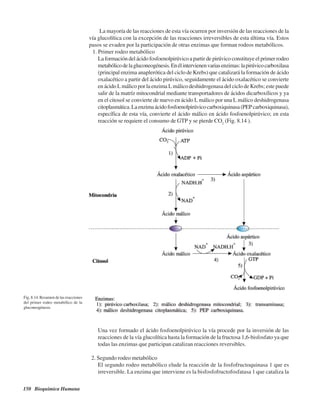 150 Bioquímica Humana
Fig. 8.14. Resumen de las reacciones
del primer rodeo metabólico de la
gluconeogénesis.
La mayoría de las reacciones de esta vía ocurren por inversión de las reacciones de la
vía glucolítica con la excepción de las reacciones irreversibles de esta última vía. Estos
pasos se evaden por la participación de otras enzimas que forman rodeos metabólicos.
1. Primer rodeo metabólico
La formación del ácido fosfoenolpirúvico a partir de pirúvico constituye el primer rodeo
metabólicodelagluconeogénesis.Enélintervienenvariasenzimas:lapirúvicocarboxilasa
(principal enzima anaplerótica del ciclo de Krebs) que catalizará la formación de ácido
oxalacético a partir del ácido pirúvico, seguidamente el ácido oxalacético se convierte
en ácido L málico por la enzima L málico deshidrogenasa del ciclo de Krebs; este puede
salir de la matríz mitocondrial mediante transportadores de ácidos dicarboxílicos y ya
en el citosol se convierte de nuevo en ácido L málico por una L málico deshidrogenasa
citoplasmática.Laenzimaácidofosfoenolpirúvicocarboxiquinasa(PEPcarboxiquinasa),
específica de esta vía, convierte el ácido málico en ácido fosfoenolpirúvico; en esta
reacción se requiere el consumo de GTP y se pìerde CO2
(Fig. 8.14 ).
Una vez formado el ácido fosfoenolpirúvico la vía procede por la inversión de las
reacciones de la vía glucolítica hasta la formación de la fructosa 1,6-bisfosfato ya que
todas las enzimas que participan catalizan reacciones reversibles.
2. Segundo rodeo metabólico
El segundo rodeo metabólico elude la reacción de la fosfofructoquinasa 1 que es
irreversible. La enzima que interviene es la bisfosfofructofosfatasa 1 que cataliza la
http://MedicoModerno.Blogspot.com
 