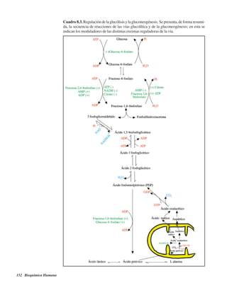 152 Bioquímica Humana
Cuadro 8.3. Regulación de la glucólisis y la gluconeogénesis. Se presenta, de forma resumi-
da, la secuencia de reacciones de las vías glucolítica y de la gluconeogénesis; en esta se
indican los moduladores de las distintas enzimas reguladoras de la vía.
http://MedicoModerno.Blogspot.com
 