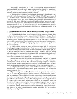 Capítulo 8. Metabolismo de los glúcidos 157
Las reacciones subsiguientes del ciclo se caracterizan por la interconversión de
monosacáridos de número de átomos de carbono distintos. En esta etapa son fundamenta-
les 2 tipos de enzimas transcetolasa y la transaldolasa que catalizan la transferencia de
unidades bicarbonadas y tricarbonadas, respectivamente.
La enzima glucosa-6-fosfato deshidrogenasa es la principal reguladora de la vía y
depende principalmente de los niveles de NADP+
. Además el NADPH compite con el
NADP+
por la unión a la enzima, así como el ATP lo hace con la glucosa-6-fosfato.
Todo ello permite que la velocidad del ciclo de las pentosas esté acoplado a la utiliza-
ción del NADPH en los diferentes procesos en los cuales el mismo participa. La impor-
tancia de este ciclo descansa principalmente en la formación de equivalentes de reduc-
ción en forma de NADPH, los cuales serán utilizados en la síntesis reductora de diver-
sos tipos de lípidos, y en la obtención de ribosa-5-fosfato, sustancia precursora en la
síntesis de nucleótidos.
Especificidades hísticas en el metabolismo de los glúcidos
La significación biológica de los diferentes procesos del metabolismo glucídico
está estrechamente relacionado con la especialización hística. Así el metabolismo
del glucógenos es relevante en el hígado y el músculo; sin embargo existen diferen-
cias entre ambos tejidos, el hepático contribuye de forma marcada en el manteni-
miento de la glucemia en períodos interalimentarios, en tanto que el muscular apor-
ta glucosa-6-fosfato utilizable por el propio tejido como fuente de energía durante
el ejercicio físico.
La glucólisis es un proceso que ocurre en la inmensa mayoría de los tejidos, pero
también presenta especificidades hísticas. Para el cerebro es el metabolito principal para
la obtención de energía y ocurre siempre en condiciones aerobias. Por el tipo de GLUT (1
y 3) y la isoenzima hexoquinasa presentes en este tejido la entrada de glucosa se facilita
aún en condiciones de bajas concentraciones relativas de glucosa sanguínea. En el eritro-
cito la glucólisis ocurre siempre en condiciones anaerobias dado que esta célula carece de
mitocondrias y por tanto de los procesos de la respiración celular.
El músculo, en condiciones de reposo, utiliza con preferencia la degradación de ácidos
grasos y no de glucosa y en esta condición la glucosa que entra a este tejido principalmente
se almacena en forma de glucógeno. Para la obtención de la energía que precisa en el ejerci-
cio físico, utiliza la glucosa como fuente de energía, y la glucólisis puede ocurrir en condi-
ciones aerobias o anaerobias dependiendo del tipo de ejercicio físico que se desarrolle.
En el tejido adiposo, la glucólisis ocurre fundamentalmente en condiciones de
hiperglucemia y esencialmente su función es el aporte de precursores para la síntesis de
triacilgliceroles (TAG).
El hígado, es el órgano esencial en el mantenimiento de la glucemia en el organismo.
Sus GLUT con alta KM
para la glucosa permiten su entrada solo en condiciones de eleva-
da concentración de glucosa en sangre. Además, la principal hexoquinasa expresada en
este tejido, la hexoquinasa IV o glucoquinasa, presenta también alta KM
para su sustrato
y es inducida por la insulina (que solo se libera en hiperglicemia), de modo que la entrada
y fosforilación de la glucosa en este tejido está favorecida en condiciones de elevada
concentración de glucosa sanguínea. El destino principal de la glucosa en el hepatocito
es la síntesis de glucógeno, así se almacena energía mediata en condiciones de abundan-
cia de glucosa que será utilizada cuando disminuyan los niveles de glucosa en sangre.
La glucólisis en hígado fundamentalmente provee precursores para la síntesis de
triacilgliceroles (Fig. 8.20).
http://MedicoModerno.Blogspot.com
 