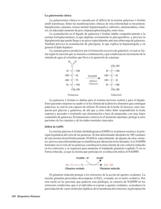 160 Bioquímica Humana
La galactosemia clásica
La galactosemia clásica es causada por el déficit de la enzima galactosa-1-fosfato
uridil transferasa. Entre las manifestaciones clínicas de esta enfermedad se encuentran:
hipoglicemia, cataratas, retraso mental, hepatomegalia y subíctero, aminoaciduria, vómi-
tos, no adecuado aumento de peso, hepatoesplenomegalia, entre otras.
La acumulación en el hígado de galactosa-1-fosfato inhibe competitivamente a la
enzima fosfoglucomutasa, lo que deprime severamente la glucogenólisis, y provoca la
hipoglucemia que puede llegar a ser grave especialmente ante una sobrecarga de galactosa.
También provoca la acumulación de glucógeno, lo que explica la hepatomegalia y en
general el daño hepático.
La catarata parece producirse por la formación excesiva de galactitol, el cual se for-
ma según la reacción que se muestra a continuación y que condiciona un incremento de la
entrada de agua al cristalino que lleva a la aparición de cataratas.
La galactosa 1-fosfato es dañina para el sistema nervioso central y para el hígado.
Estos pacientes mejoran su cuadro si se les elimina de la dieta los alimentos que contengan
galactosa, la cual no son capaces de utilizar. El azúcar de la leche (la lactosa), está com-
puesta por glucosa y galactosa, de ahí que a estos niños debe suspendérsele la leche
materna y proceder a instituirle una alimentación a base de preparados con muy bajos
contenidos de galactosa. El tratamiento correcto en el momento oportuno, protege a estos
pacientes de las cataratas y de los daños mentales marcados.
Déficit de G6PD
La enzima glucosa-6-fosfato deshidrogenasa (G6PD) es la primera enzima y la prin-
cipal reguladora del ciclo de las pentosas. Se han determinado alrededor de 300 variantes
de esta enzima electroforéticamente. El déficit, especialmente, de algunas de estas varian-
tes, provoca una enfermedad que se manifiesta por alteración en los hematíes. Los NADPH
formados en el ciclo de las pentosas constituyen la única fuente de este cofactor reducido
en los eritrocitos y se requieren para mantener el tripéptido glutatión (capítulo 5) en su
forma reducida, ya que la enzima que participa en su reducción utiliza el NADPH:
El glutatión reducido protege a los eritrocitos de la acción de agentes oxidantes. La
enzima glutatión peroxidasa descompone el H2
O2
, evitando así el estrés oxidativo. Por
esta razón en las personas que padecen esta patología, la carencia de NADPH en los
eritrocitos condiciona, que si el individuo se expone a agentes oxidantes, se produzca la
peroxidación de varias moléculas lipídicas de la membrana del eritrocito, la precipitación
http://MedicoModerno.Blogspot.com
 
