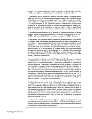 162 Bioquímica Humana
la sangre y en su lugar la glucosa-6-fosfato formada por la glucogenólisis muscular
es utilizada con fines energéticos durante la realización de ejercicios físicos.
La glucólisis es una vía universal en la que se degrada la glucosa y la función princi-
pal de este proceso es el rendimiento energético en forma de ATP. Por medio de esta
vía la glucosa se convierte en ácido pirúvico, el cual en dependencia de las condicio-
nes anaeróbicas o aeróbicas en que proceda, se convertirá en ácido láctico o acetil
CoA, respectivamente; en este último caso el acetil CoA formado se incorporará a
los procesos de la respiración celular. El rendimiento energético de la glucólisis de-
penderá, por tanto, de las condiciones en que esta se lleve a cabo: en anaerobiosis
rinde solamente 2 ATP, en tanto que en condiciones aeróbicas se formarán 32 ATP.
La principal enzima reguladora de la glucólisis es la fosfofructoquinasa 1, la cual
presenta mecanismo de regulación alostérico siendo sus efectores positivos el AMP,
el ADP y la fructosa 2,6 bisfosfato y sus efectores negativos el ATP y el citrato.
El otro proceso que aporta glucosa a la sangre es la gluconeogénesis, el cual consiste
en la formación de glucosa a partir de compuestos no glucídicos como el ácido lácti-
co, el glicerol y algunos aminoácidos. Ocurre en la matríz mitocondrial y el citosol
del hígado y en menor cuantía en el riñón. Este proceso se lleva a cabo por la inver-
sión de la mayoría de las reacciones de la glucólisis excepto en el caso de las reaccio-
nes irreversibles de la vía glucolítica, las cuales se eluden con la participación de
otras enzimas que conforman 3 rodeos metabólicos. La principal enzima reguladora
de la gluconeogénesis es la bisfosfofructofosfatasa 1; esta enzima presenta regula-
ción alostérica y sus efectores positivos son elATP y el citrato y los negativos elAMP,
el ADP y la fructosa 2,6 bisfosfato.
Una enzima bifuncional es la responsable de la formación de la fructosa 2,6 bisfosfato
a partir de fructosa-6-fosfato por su centro activo de fosfofructoquinasa 2 y por su
centro activo de bisfosfofructofosfatasa 2 reconvierte la fructosa 2.6 bisfosfato en
fructosa-6-fosfato. Esta enzima bifuncional se regula de forma covalente, su
fosforilación favorecida por la liberación de glucagón activa el centro fostatásico lo
que conlleva a la disminución de los niveles de fructosa 2.6 bisfosfato lo que trae
como consecuencia la activación de la gluconeogénesis al disminuir los niveles de
este efector negativo de la principal enzima reguladora de esta vía y se deprime la
glucólisis por falta de efector positivo de su enzima reguladora principal. Por el
contrario, la acción de la insulina favorece la activación del centro activo con acción
quinásica, se incrementa así la formación de la fructosa 2,6 bisfosfato con lo que se
activa la glucólisis y se deprime la gluconeogénesis.
El ciclo de las pentosas es una vía de oxidación directa de la glucosa que reviste
especial importancia en algunos tejidos como los lipogenéticos (hígado y tejido adi-
poso) y en el eritrocito, entre otros. Esta vía no aporta ATP y la energía que rinde se
almacena en forma de cofactores reducidos (NADPH). Mediante este proceso se
aportan cofactores reducidos para la síntesis de ácidos grasos y colesterol y además
se forma ribosa-5-fosfato necesaria para la síntesis de nucleótidos. La principal en-
zima reguladora de esta vía es la glucosa-6-fosfato deshidrogenasa la cual se activa
por elevadas concentraciones de NADP+
, en tanto que se inactiva si se elevan las
concentraciones de NADPH.
Los otros monosacáridos formados en el proceso degradativo de polisacáridos y
disacáridos exógenos y endógenos se incorporan a la vía glucolítica después de expe-
rimentar algunas transformaciones iniciales hasta convertirse en algún o algunos de
los metabolitos intermediarios de la glucólisis.
http://MedicoModerno.Blogspot.com
 