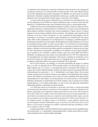 166 Bioquímica Humana
se sintetizan en los hepatocitos a partir del colesterol, tienen un proceso de conjugación
con glicina y taurina y se excretan a la bilis en forma de sales. Estas sales biliares poseen
una acción detergente que permite desintegrar los glóbulos de grasa hasta un tamaño
minúsculo, formando complejos denominados micelas que ayudan tanto en proceso de
digestión como en la absorción de ácidos grasos, colesterol y otros lípidos.
La mayor parte de las grasas alimentarias las constituyen los triacilgliceroles. Las
enzimas digestivas de los TAGs son lipasas (hidrolasas) que se vierten a la luz del tubo
digestivo) y al hidrolizarlas dan como resultado ácidos grasos y monoacilglicéridos.
A diferencia de cómo se planteaba hasta épocas recientes, el proceso digestivo de los
triglicéridos dietarios, comienza desde la cavidad bucal y se inicia con la actividad de la
lipasa lingual, (también conocida como esterasa pregástrica o lipasa salival). La lipasa
lingual se secreta en baja cantidad en forma constante . Sin embargo, ante la presencia del
alimento en la boca (factor mecánico) y/o por estimulación parasimpática (factor
neurológico), la enzima es secretada en gran cantidad en la cavidad bucal. Esta lipasa
actúa sobre el bolo alimentario en su tránsito hacia el estómago y también durante la
permanencia del alimento en este órgano. El pH óptimo de la lipasa lingual es de 4,5 pero
su actividad comienza a pH = 2 y aún es activa a pH = 7,5. La enzima no es inactivada por
la actividad proteolítica de la pepsina gástrica, por lo cual sigue actuando en la cavidad
gástrica.Además se ha descrito una lipasa gástrica secretada por la mucosa de este órga-
no. Sus características estructurales y catalíticas son similares a la de la lipasa lingual y
por lo general se les considera a ambas enzimas como una sola unidad estructural e
hidrolítica. Se plantea que entre ambas son responsables de 10 a 30% de la digestión de
los triacilgliceroles de origen alimentario. Este proceso continúa en el intestino con la
acción de la lipasa de origen pancreático que es segregada hacia la luz intestinal y se
considera la principal enzima en el aspecto cuantitativo de la digestión.
En los recién nacidos, sin embargo, la secreción pancreática de lipasas es todavía
baja, y en ellos, la digestión de los TAG se puede realizar con efectividad, gracias a la
lipasa lingual, que es ya activa, y a una lipasa presente en la propia leche materna. Se
conoce que la leche materna humana contiene una lipasa especial, que puede hidrolizar
indistintamente las posiciones 1, 2 y 3, identificadas como lipasa láctea. Esta enzima
cuando está presente en la leche es inactiva y solo adquiere actividad después del contacto
con las sales biliares en el intestino, por lo cual se le conoce también como lipasa láctea
estimulada por las sales biliares. La misma permite a los recién nacidos y a los lactantes
hidrolizar totalmente los triglicéridos de la leche materna, aún en ausencia de la lipasa
lingual-gástrica y de la lipasa pancreática, lo cual reviste una particular importancia
nutricional mientras se alimentan con leche materna.
Los TAG que entran en el intestino se mezclan con la bilis y con posterioridad
el peristaltismo intestinal los emulsiona. Esta emulsión es entonces tratada por las
lipasas segregadas por el páncreas (lipasa pancreática) tanto en los niños mayores
de un año como en los adultos. Esta enzima presenta una activación superficial: su
actividad se incrementa al entrar en contacto con la interfase lípido-agua, a través
de un complejo con la colipasa pancreática (proteína de 12 kD) en una relación 1:1.
La colipasa ayuda a la lipasa a unirse a la interfase, ya que aquella contiene una
sección larga de residuos hidrofóbicos que se asocian cerca del centro activo de la
lipasa y en la enzima se produce un cambio conformacional que contribuye a reali-
zar su catálisis sobre los TAG.
La lipasa pancreática cataliza la hidrólisis de los ácidos grasos de los triacilgliceroles,
de las posiciones 1 y 3, generando 2-monoacilglicéridos y ácidos grasos libres con dife-
rentes longitudes de sus cadenas hidrocarbonadas.
http://MedicoModerno.Blogspot.com
 