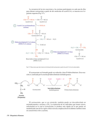 176 Bioquímica Humana
La secuencia de las tres reacciones y las enzimas participantes en cada una de ellas
para obtener acetoacetato a partir de dos moléculas de acetil-CoA, se muestra en el si-
guiente esquema (Fig. 9.7).
Fig. 9.7. Reacciones que intervienen en la formación del acetoacetato a partir de acetil- CoA en la mitocondria.
El acetoacetato así formado puede ser reducido a beta D-hidroxibutirato. Esta reac-
ción es catalizada por la enzima β-hidroxibutirato deshidrogenasa.
El acetoacetato, que es un cetoácido, también puede ser descarboxilado no
enzimáticamente a acetona y CO2
. La expiración de los individuos que tienen cetosis,
enfermedad en la cual el acetoacetato se produce más rápido de lo que puede ser
metabolizado (uno de los signos clínicos de una complicación de la diabetes mellitus) tiene
un característico olor a acetona.
http://MedicoModerno.Blogspot.com
 