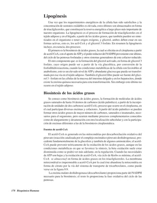 178 Bioquímica Humana
Lipogénesis
Una vez que los requerimientos energéticos de la célula han sido satisfechos y la
concentración de sustratos oxidables es elevada, estos últimos son almacenados en forma
de triacilgliceroles, que constituyen la reserva energética a largo plazo más importante de
nuestro organismo. La lipogénesis es el proceso de formación de triacilgliceroles en el
tejido adiposo y en el hígado, a partir de los ácidos grasos, que también pueden ser sinte-
tizados en el organismo o tener origen exógeno, y glicerol, ambos deben estar en sus
formas activas, esto es, los acil-CoA y el glicerol 3 fosfato. En resumen la lipogénesis
incluye, en esencia, dos procesos:
El primero es la biosíntesis de ácidos grasos, la cual se efectúa en el citoplasma a partir
de acetil CoA, con el aporte deATPy el poder reductor del NADPH proveniente este último,
del ciclo de las pentosas fosfatadas y otros sistemas generadores de este cofactor reducido.
El otro componente que es la formación del glicerol activado, en forma de glicerol 3
fosfato, cuyo origen puede ser a partir de la vía glucolítica, por conversión de la
fosfodihidroxiacetona, cuando las condiciones metabólicas de la célula son favorables al
anabolismo, esto es un elevado nivel deATPy abundante glucosa que pueda ser transfor-
mada por esa vía en el tejido adiposo. También el glicerol libre puede ser fuente del glice-
rol 3 - fosfato en las células de la mucosa del intestino delgado y en los hepatocitos, donde
existe la enzima quinasa necesaria para esta transformación. Sin embargo esto último no
ocurre en el tejido adiposo.
Biosíntesis de los ácidos grasos
Se conoce como biosíntesis de ácidos grasos, la formación de moléculas de ácidos
grasos saturados de hasta 16 átomos de carbonos (ácido palmítico), a partir de la incorpo-
ración de unidades de dos carbonos( acetil CoA), proceso que ocurre en el citoplasma, en
el cual participan diversas enzimas y cofactores. A partir del ácido palmítico se pueden
formar otros ácidos grasos de mayor número de carbonos, saturados e insaturados, nece-
sarios para el organismo, pero ocurren mediante procesos complementarios conocidos
como de alargamiento y desaturación con otra localización subcelular y con la participa-
ción de enzimas diferentes a las de la biosíntesis citoplasmática.
Fuentes de acetil-CoA
El acetil-CoA es generado en las mitocondrias por descarboxilación oxidativa del
piruvato (reacción catalizada por el complejo enzimático piruvato deshidrogenasa), pro-
cedente fundamentalmente de la glucolisis y también de algunos aminoácidos; el acetil-
CoA puede provenir teóricamente de la oxidación de los ácidos grasos, aunque en las
condiciones metabólicas en que se favorece la síntesis, la beta oxidación suele estar
disminuida como se podrá ver más adelante, en la regulación. Cuando las necesidades
de ATP son bajas y la oxidación de acetil-CoA, vía ciclo de Krebs es mínima, el acetil-
CoA “se almacena” en forma de ácidos grasos en los triacilgliceroles. La membrana
mitocondrial es impermeable a acetil-CoA por lo cual éste abandona la mitocondria en
forma de citrato por la vía del sistema de transporte de tricarboxilatos, como puede
verse en la figura 9.9.
La enzima malato deshidrogenasa (descarboxilante) proporciona parte del NADPH
necesario para la biosíntesis; el resto lo proporciona la fase oxidativa del ciclo de las
pentosas.
http://MedicoModerno.Blogspot.com
 