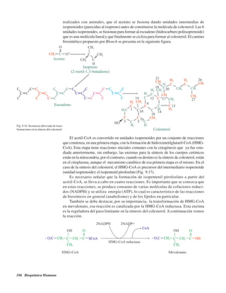 186 Bioquímica Humana
realizados con animales, que el acetato se fusiona dando unidades intermedias de
isoprenoides (parecidas al isopreno) antes de constituirse la molécula de colesterol. Las 6
unidades isoprenoides, se fusionan para formar al escualeno (hidrocarburo poliisoprenoide)
que es una molécula lineal y que finalmente se cicliza para formar al colesterol. El camino
biosintético propuesto por Blonch se presenta en la siguiente figura.
El acetil-CoA es convertido en unidades isoprenoides por un conjunto de reacciones
que comienza, en una primera etapa, con la formación de hidroximetilglutaril-CoA (HMG-
CoA). Esta etapa tiene reacciones iniciales comunes con la cetogénesis que ya fue estu-
diada anteriormente, sin embargo, las enzimas para la síntesis de los cuerpos cetónicos
están en la mitocondria, por el contrario, cuando su destino es la síntesis de colesterol, están
en el citoplasma, aunque el mecanismo catalítico de esa primera etapa es el mismo. En el
caso de la síntesis del colesterol, el HMG-CoA es precursor del intermediario isoprenoide
(unidad isoprenoide): el isopentenil pirofosfato (Fig. 9.17).
Es necesario señalar que la formación de isopentenil pirofosfato a partir del
acetil-CoA, se lleva a cabo en cuatro reacciones. Es importante que se conozca que
en estas reacciones, se produce consumo de varias moléculas de cofactores reduci-
dos (NADPH) y se utiliza energía (ATP), lo cual es característico de las reacciones
de biosíntesis en general (anabolismo) y de los lípidos en particular.
También se debe destacar, por su importancia, la transformación de HMG-CoA
en mevalonato, esa reacción es catalizada por la HMG-CoA reductasa. Esta enzima
es la reguladora del paso limitante en la síntesis del colesterol. A continuación vemos
la reacción.
Fig. 9.16. Secuencia abreviada de trans-
formaciones en la síntesis del colesterol.
http://MedicoModerno.Blogspot.com
 