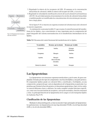 188 Bioquímica Humana
3. Regulando la síntesis de los receptores de LDL. El aumento en la concentración
intracelular de colesterol, inhibe la síntesis del receptor de LDL y viceversa.
4. Regulando la velocidad de esterificación a través de la acil colesterol-acil transferasa
(ACAT). Su actividad aumenta al incrementarse los niveles de colesterol intracelular
y también pueden ser modificadas las concentraciones de esta enzima por mecanis-
mos a largo plazo.
En la figura 9.18 se muestra un esquema resumen de la homeostasis del colesterol
en nuestro organismo.
Acontinuación se presenta la tabla 9.1 que resume el control hormonal del metabo-
lismo de los lípidos, cuyo conocimiento es muy importante para la comprensión del
papel integrador del sistema neuroendocrino en el metabolismo intermediario de los
lípidos.
Fig. 9.18. Regulación de la homeos-
tasis del colesterol.
Las lipoproteínas
Las lipoproteínas son estructuras supramacromoleculares y por lo tanto, de gran com-
plejidad, formadas por dos tipos de componentes: una fracción lipídica y una parte proteica.
El componente lipídico puede ser colesterol libre y esterificado y fosfolípidos, en una
composición y proporción que varía en dependencia de la lipoproteína en particular. Las
proteínas que forman la fracción proteica se denominan apoproteínas (Apo), de las cuales
se conocen diferentes clases y subclases, las cuales cumplen variadas funciones específi-
cas, como son el reconocimiento de receptores, activación enzimática, función estructural
y otras. La principal función de las lipoproteínas de la sangre es la de transportar lípidos
en el plasma (Fig.9.19).
Clasificación de las lipoproteínas
Mediante la ultracentrifugación, se han reconocido 4 tipos principales de lipoproteínas:
los quilomicrones, las lipoproteínas de muy baja densidad (VLDL), las de baja densidad
(LDL) y las de alta densidad (HDL).
Tabla 9.1 Resumen del control hormonal del metabolismo de los lípidos.
http://MedicoModerno.Blogspot.com
 