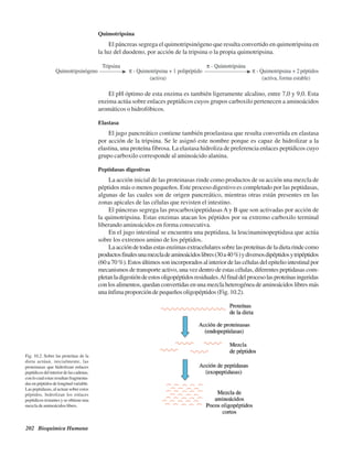 202 Bioquímica Humana
Quimotripsina
El páncreas segrega el quimotripsinógeno que resulta convertido en quimotripsina en
la luz del duodeno, por acción de la tripsina o la propia quimotripsina.
Fig. 10.2. Sobre las proteínas de la
dieta actúan, inicialmente, las
proteinasas que hidrolizan enlaces
peptídicosdelinteriordelascadenas,
con lo cual estas resultan fragmenta-
das en péptidos de longitud variable.
Las peptidasas, al actuar sobre estos
péptidos, hidrolizan los enlaces
peptídicos restantes y se obtiene una
mezcladeaminoácidoslibres.
El pH óptimo de esta enzima es también ligeramente alcalino, entre 7,0 y 9,0. Esta
enzima actúa sobre enlaces peptídicos cuyos grupos carboxilo pertenecen a aminoácidos
aromáticos o hidrofóbicos.
Elastasa
El jugo pancreático contiene también proelastasa que resulta convertida en elastasa
por acción de la tripsina. Se le asignó este nombre porque es capaz de hidrolizar a la
elastina, una proteína fibrosa. La elastasa hidroliza de preferencia enlaces peptídicos cuyo
grupo carboxilo corresponde al aminoácido alanina.
Peptidasas digestivas
La acción inicial de las proteinasas rinde como productos de su acción una mezcla de
péptidos más o menos pequeños. Este proceso digestivo es completado por las peptidasas,
algunas de las cuales son de origen pancreático, mientras otras están presentes en las
zonas apicales de las células que revisten el intestino.
El páncreas segrega las procarboxipeptidasas A y B que son activadas por acción de
la quimotripsina. Estas enzimas atacan los péptidos por su extremo carboxilo terminal
liberando aminoácidos en forma consecutiva.
En el jugo intestinal se encuentra una peptidasa, la leucinaminopeptidasa que actúa
sobre los extremos amino de los péptidos.
Laaccióndetodasestasenzimasextracelularessobrelasproteínasdeladietarindecomo
productosfinalesunamezcladeaminoácidoslibres(30a40%)ydiversosdipéptidosytripéptidos
(60a70%).Estosúltimossonincorporadosalinteriordelascélulasdelepiteliointestinalpor
mecanismos de transporte activo, una vez dentro de estas células, diferentes peptidasas com-
pletanladigestióndeestosoligopéptidosresiduales.Alfinaldelprocesolasproteínasingeridas
con los alimentos, quedan convertidas en una mezcla heterogénea de aminoácidos libres más
unaínfimaproporcióndepequeñosoligopéptidos (Fig.10.2).
http://MedicoModerno.Blogspot.com
 