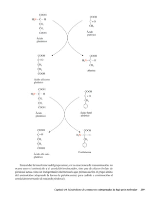 Capítulo 10. Metabolismo de compuestos nitrogenados de bajo peso molecular 209
En realidad la transferencia del grupo amino, en las reacciones de transaminación, no
ocurre entre el aminoácido y el cetoácido involucrados, sino que el cofactor fosfato de
piridoxal actúa como un transportador intermediario que primero recibe el grupo amino
del aminoácido (adoptando la forma de piridoxamina) para cederlo a continuación al
cetoácido (retornando al estado de piridoxal).
http://MedicoModerno.Blogspot.com
 