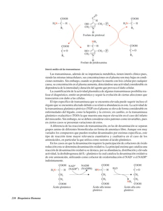 210 Bioquímica Humana
Interés médico de las transaminasas
Las transaminasas, además de su importancia metabólica, tienen interés clínico pues,
siendo las mismas intracelulares, sus concentraciones en el plasma son muy bajas en condi-
ciones normales. Sin embargo, cuando se produce la muerte con lisis celular por cualquier
causa, su concentración en el plasma aumenta, detectándose una actividad considerable en
dependencia de la intensidad y duración del agente que provoca el daño celular.
La cuantificación de la actividad plasmática de algunas transaminasas posibilita rea-
lizar el diagnóstico, emitir un pronóstico y seguir la evolución de ciertas afecciones que
transcurren con daño a las células.
El tipo específico de transaminasa que se encuentra elevada puede sugerir incluso el
órgano que se encuentra afectado debido a su relativa abundancia en este. La actividad de
la transaminasa glutámico pirúvico (TGP) en el plasma se eleva de forma considerable en
enfermedades del hígado, como la hepatitis y la cirrosis; en cambio, es la transaminasa
glutámico oxalacético (TGO) la que muestra una mayor elevación en el caso del infarto
del miocardio. Sin embargo, no se deben considerar estos patrones como invariables, pues
en ciertos casos se presentan variaciones de estos.
A diferencia de las reacciones de transaminación, en las de desaminación se separan
grupos amino de diferentes biomoléculas en forma de amoníaco libre. Aunque son muy
variados los compuestos que pueden resultar desaminados por enzimas específicas, este
tipo de reacción tiene mayor relevancia cuantitativa y cualitativa en el caso de los
aminoácidos, en particular la que utiliza como sustrato al ácido glutámico.
En los casos en que la desaminación requiere la participación de cofactores de óxido
reducción esta se denomina desaminación oxidativa. La principal enzima que cataliza una
reacción de desaminación oxidativa se destaca, por su abundancia, distribución y elevada
actividad, la deshidrogenasa del L- glutámico la cual cataliza la desaminación oxidativa
de este aminoácido, utilizando como cofactor de oxidorreducción el NAD+
o el NADP+
indistintamente.
http://MedicoModerno.Blogspot.com
 