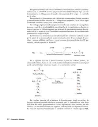 212 Bioquímica Humana
El significado biológico de esta vía metabólica consiste en que el amoníaco, de eleva-
da toxicidad, es convertido en urea que posee una toxicidad mucho más baja. Una vez
formada la urea en el hígado esta alcanza los riñones a través de la sangre y es excretada
por la orina.
La ureogénesis es el mecanismo más eficiente que poseemos para eliminar amoníaco
y diariamente excretamos alrededor de 25 a 30 g de este compuesto, con lo cual se logra
mantener la amonemia dentro de sus límites normales.
Sin embargo, el proceso de la ureogénesis es mucho más complejo de lo que pudiera
pensarse a partir de la simplicidad de la reacción global de formación de urea. La síntesis
de urea transcurre en el hígado mediante una secuencia de reacciones enzimáticas denomi-
nada ciclo de la urea o ciclo de Krebs-Henseleit quienes fueron sus descubridores en la
primera mitad del pasado siglo.
La biosíntesis de urea comienza con la formación del compuesto carbamil fosfato
por la acción de la enzima carbamil fosfato sintetasa I a partir de una molécula de amo-
níaco y una de anhídrido carbónico y con el consumo de dos moléculas de ATP que
aporta la energía requerida en la síntesis.
En la siguiente reacción se produce citrulina a partir del carbamil fosfato y el
aminoácido ornitina.Actúa en este caso la enzima ornitina transcarbamilasa que al igual
que la carbamil fosfato sintetasa se localiza en la matriz mitocondrial.
La citrulina formada sale al exterior de la mitocondria donde se produce la
incorporación del segundo nitrógeno requerido para la formación de urea. Esto
ocurre en dos etapas, primeramente la enzima arginino succínico sintetasa une a la
citrulina con una molécula de ácido aspártico formando el ácido arginino succínico.
La reacción requiere energía la cual es aportada también en este caso por el ATP,
http://MedicoModerno.Blogspot.com
 