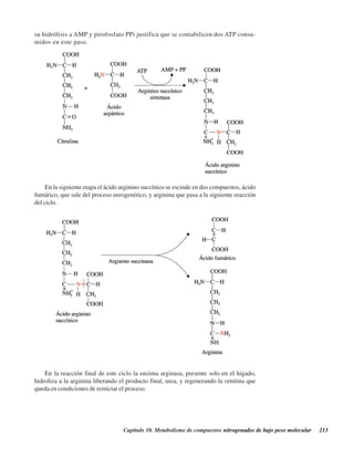Capítulo 10. Metabolismo de compuestos nitrogenados de bajo peso molecular 213
En la siguiente etapa el ácido arginino succínico se escinde en dos compuestos, ácido
fumárico, que sale del proceso ureogenético, y arginina que pasa a la siguiente reacción
del ciclo.
En la reacción final de este ciclo la enzima arginasa, presente solo en el hígado,
hidroliza a la arginina liberando el producto final, urea, y regenerando la ornitina que
queda en condiciones de reiniciar el proceso.
su hidrólisis a AMP y pirofosfato PPi justifica que se contabilicen dos ATP consu-
midos en este paso.
http://MedicoModerno.Blogspot.com
 