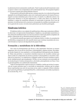 Capítulo 10. Metabolismo de compuestos nitrogenados de bajo peso molecular 217
la administración de aminoácidos ramificados. Tanto la adecuación del tratamiento como
su ajuste evolutivo esta en dependencia de la enfermedad de base. El transplante hepático
es un recurso extremo pero potencialmente efectivo.
El personal de enfermería debe prestar continua atención a la evolución del paciente
aquejado de encefalopatía hepática, pues este estado puede agravarse de manera brusca y
requerir acciones inmediatas para evitar el coma y la muerte. La adhesión estricta a las
indicaciones dietéticas es de gran importancia y se debe estar alerta a los intentos de
familiares y amigos de suministrar alimentos no autorizados al paciente. En el caso de
pacientes con afectaciones de la conciencia corresponden las medidas encaminadas a evi-
tar la aparición de escaras o de afecciones pulmonares por decúbito prolongado.
Síndrome ictérico
Elsíndromeictéricoesunconjuntodemanifestacionesclínicasquesepresentaendiferen-
tes afecciones con repercusiones hematológicas o hepáticas y cuya principal característica es
unacoloraciónamarilladelapielylasmucosas(ictericiaoíctero)quepuedeacompañarsede
prurito y alteraciones de la coloración normal de las heces y la orina.
La coloración amarilla que aparece en el síndrome ictérico se debe a la acumulación
de bilirrubina, un pigmento de color amarillo intenso que constituye un producto de excre-
ción formado en el proceso de degradación de grupos hemo.
Formación y metabolismo de la bilirrubina
Son varias las hemoproteínas que llevan a cabo importantes funciones en nuestro
organismo, tal es el caso de los citocromos, la hemoglobina y algunas enzimas. Sin embar-
go, desde el punto de vista cuantitativo, es la hemoglobina la hemoproteína más abundan-
te. Todas estas proteínas se encuentran sometidas al proceso de recambio continuo que
afecta a todos los componentes de nuestra economía. La hemoglobina se encuentra conte-
nida en los eritrocitos y su catabolismo es obligado cuando los mismos terminan su perío-
do de vitalidad normal, aproximadamente 120 días, en cuyo momento son secuestrados de
la circulación por el sistema eritropoyético y destruidos, principalmente en el bazo. Unos
6 g de hemoglobina son catabolizados diariamente.
Todas las hemoproteínas siguen un proceso catabólico similar que incluye la separa-
ción de la parte proteínica que es convertida en aminoácidos; mientras que los grupos
hemo experimentan una serie de reacciones en las cuales es separado el hierro mientras
que la porción porfirínica, la protoporfirina IX, es ulteriormente convertida en productos
de excreción (Fig. 10.7).
Fig. 10.7. Esquema general del
catabolismodelashemoproteínas.La
fracciónproteínicaesseparadaycon-
vertida en aminoácidos, el hierro se
integra al pool de este elemento, y la
porción tetrapirrólica del hemo es so-
metida a ulteriores transformaciones.
http://MedicoModerno.Blogspot.com
 