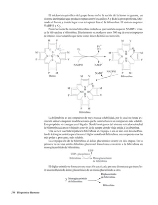 218 Bioquímica Humana
El núcleo tetrapirrólico del grupo hemo sufre la acción de la hemo oxigenasa, un
sistema enzimático que produce ruptura entre los anillosA y B de la protoporfirina, libe-
rando el hierro y dando lugar a un tetrapirrol lineal, la biliverdina. El sistema requiere
NADPH y O2
.
Posteriormente la enzima biliverdina reductasa, que también requiere NADPH, redu-
ce la biliverdina a bilirrubina. Diariamente se producen unos 300 mg de este compuesto
de intenso color amarillo que tiene como único destino su excreción.
El diglucurónido se forma en una reacción catalizada por una dismutasa que transfie-
re una molécula de ácido glucurónico de un monoglucurónido a otro.
La bilirrubina es un compuesto de muy escasa solubilidad, por lo cual su futura ex-
creción urinaria requiere modificaciones que la conviertan en un compuesto más soluble.
Este propósito se consigue en el hígado. Desde los órganos del sistema reticuloendotelial
la bilirrubina alcanza el hígado a través de la sangre donde viaja unida a la albúmina.
Una vez en la célula hepática la bilirrubina se conjuga, o sea se une, con dos molécu-
las de ácido glucurónico para formar el diglucurónido de bilirrubina, un compuesto mucho
más polar y, por tanto, más soluble.
La conjugación de la bilirrubina al ácido glucurónico ocurre en dos etapas. En la
primera la enzima uridín difosfato glucuronil transferasa convierte a la bilirrubina en
monoglucurónido de bilirrubina.
http://MedicoModerno.Blogspot.com
 