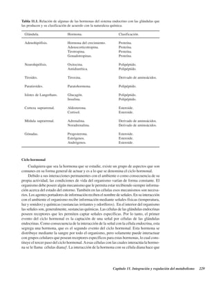 Capítulo 11. Integración y regulación del metabolismo 229
Tabla 11.1. Relación de algunas de las hormonas del sistema endocrino con las glándulas que
las producen y su clasificación de acuerdo con la naturaleza química.
Glándula. Hormona. Clasificación.
Adenohipófisis. Hormona del crecimiento. Proteína.
Adenocorticotropina. Proteína.
Tirotropina. Proteína.
Gonadotropinas. Proteína.
Neurohipófisis. Oxitocina. Polipéptido.
Antidiurética. Polipéptido.
Tiroides. Tiroxina. Derivado de aminoácidos.
Paratiroides. Paratohormona. Polipéptido.
Islotes de Langerhans. Glucagón. Polipéptido.
Insulina. Polipéptido.
Corteza suprarrenal. Aldosterona. Esteroide.
Cortisol. Esteroide.
Médula suprarrenal. Adrenalina. Derivado de aminoácidos.
Noradrenalina. Derivado de aminoácidos.
Gónadas. Progesterona. Esteroide.
Estrógenos. Esteroide.
Andrógenos. Esteroide.
Ciclo hormonal
Cualquiera que sea la hormona que se estudie, existe un grupo de aspectos que son
comunes en su forma general de actuar y es a lo que se denomina el ciclo hormonal.
Debido a sus interacciones permanentes con el ambiente o como consecuencia de su
propia actividad, las condiciones de vida del organismo varían de forma constante. El
organismo debe poseer algún mecanismo que le permita estar recibiendo siempre informa-
ción acerca del estado del entorno. También en las células esos mecanismos son necesa-
rios. Los agentes portadores de información reciben el nombre de señales. En su interacción
con el ambiente el organismo recibe información mediante señales físicas (temperatura,
luz y sonidos) y químicas (sustancias irritantes y odoríferos). En el interior del organismo
las señales son, generalmente, sustancias químicas. Las células de las glándulas endocrinas
poseen receptores que les permiten captar señales específicas. Por lo tanto, el primer
evento del ciclo hormonal es la captación de una señal por células de las glándulas
endocrinas. Como consecuencia de la interacción de la señal con la célula endocrina, esta
segrega una hormona, que es el segundo evento del ciclo hormonal. Esta hormona se
distribuye mediante la sangre por todo el organismo, pero solamente puede interactuar
con grupos celulares que posean receptores específicos para estas hormonas, lo cual cons-
tituye el tercer paso del ciclo hormonal.Aesas células con las cuales interactúa la hormo-
na se le llama “células diana”. La interacción de la hormona con su célula diana hace que
http://MedicoModerno.Blogspot.com
 