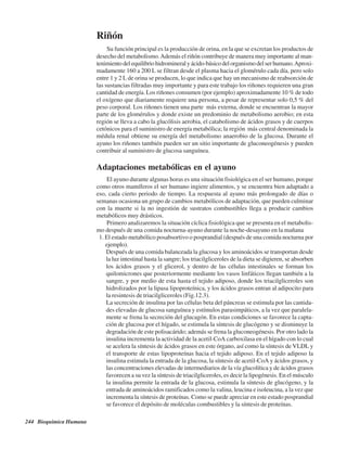 244 Bioquímica Humana
Riñón
Su función principal es la producción de orina, en la que se excretan los productos de
desecho del metabolismo.Además el riñón contribuye de manera muy importante al man-
tenimientodelequilibriohidromineralyácido-básicodelorganismodelserhumano.Aproxi-
madamente 160 a 200 L se filtran desde el plasma hacia el glomérulo cada día, pero solo
entre 1 y 2 L de orina se producen, lo que indica que hay un mecanismo de reabsorción de
las sustancias filtradas muy importante y para este trabajo los riñones requieren una gran
cantidad de energía. Los riñones consumen (por ejemplo) aproximadamente 10 % de todo
el oxígeno que diariamente requiere una persona, a pesar de representar solo 0,5 % del
peso corporal. Los riñones tienen una parte más externa, donde se encuentran la mayor
parte de los glomérulos y donde existe un predominio de metabolismo aerobio; en esta
región se lleva a cabo la glucólisis aerobia, el catabolismo de ácidos grasos y de cuerpos
cetónicos para el suministro de energía metabólica; la región más central denominada la
médula renal obtiene su energía del metabolismo anaerobio de la glucosa. Durante el
ayuno los riñones también pueden ser un sitio importante de gluconeogénesis y pueden
contribuir al suministro de glucosa sanguínea.
Adaptaciones metabólicas en el ayuno
El ayuno durante algunas horas es una situación fisiológica en el ser humano, porque
como otros mamíferos el ser humano ingiere alimentos, y se encuentra bien adaptado a
eso, cada cierto periodo de tiempo. La respuesta al ayuno más prolongado de días o
semanas ocasiona un grupo de cambios metabólicos de adaptación, que pueden culminar
con la muerte si la no ingestión de sustratos combustibles llega a producir cambios
metabólicos muy drásticos.
Primero analizaremos la situación cíclica fisiológica que se presenta en el metabolis-
mo después de una comida nocturna-ayuno durante la noche-desayuno en la mañana
1. El estado metabólico posabsortivo o posprandial (después de una comida nocturna por
ejemplo).
Después de una comida balanceada la glucosa y los aminoácidos se transportan desde
la luz intestinal hasta la sangre; los triacilgliceroles de la dieta se digieren, se absorben
los ácidos grasos y el glicerol, y dentro de las células intestinales se forman los
quilomicrones que posteriormente mediante los vasos linfáticos llegan también a la
sangre, y por medio de esta hasta el tejido adiposo, donde los triacilgliceroles son
hidrolizados por la lipasa lipoproteínica, y los ácidos grasos entran al adipocito para
la resintesis de triacilgliceroles (Fig.12.3).
La secreción de insulina por las células beta del páncreas se estimula por las cantida-
des elevadas de glucosa sanguínea y estímulos parasimpáticos, a la vez que paralela-
mente se frena la secreción del glucagón. En estas condiciones se favorece la capta-
ción de glucosa por el hígado, se estimula la síntesis de glucógeno y se disminuye la
degradación de este polisacárido; además se frena la gluconeogénesis. Por otro lado la
insulina incrementa la actividad de la acetil-CoA carboxilasa en el hígado con lo cual
se acelera la síntesis de ácidos grasos en este órgano, así como la síntesis de VLDL y
el transporte de estas lipoproteínas hacia el tejido adiposo. En el tejido adiposo la
insulina estimula la entrada de la glucosa, la síntesis de acetil-CoA y ácidos grasos, y
las concentraciones elevadas de intermediarios de la vía glucolítica y de ácidos grasos
favorecen a su vez la síntesis de triacilgliceroles, es decir la lipogénesis. En el músculo
la insulina permite la entrada de la glucosa, estimula la síntesis de glucógeno, y la
entrada de aminoácidos ramificados como la valina, leucina e isoleucina, a la vez que
incrementa la síntesis de proteínas. Como se puede apreciar en este estado posprandial
se favorece el depósito de moléculas combustibles y la síntesis de proteínas.
http://MedicoModerno.Blogspot.com
 