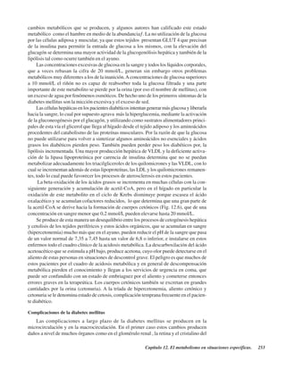 Capítulo 12. El metabolismo en situaciones específicas. 253
cambios metabólicos que se producen, y algunos autores han calificado este estado
metabólico “como el hambre en medio de la abundancia”. La no utilización de la glucosa
por las células adiposa y muscular, ya que estos tejidos presentan GLUT 4 que precisan
de la insulina para permitir la entrada de glucosa a los mismos, con la elevación del
glucagón se determina una mayor actividad de la glucogenólisis hepática y también de la
lipólisis tal como ocurre también en el ayuno.
Las concentraciones excesivas de glucosa en la sangre y todos los líquidos corporales,
que a veces rebasan la cifra de 20 mmol/L, generan sin embargo otros problemas
metabólicos muy diferentes a los de la inanición.Aconcentraciones de glucosa superiores
a 10 mmol/L el riñón no es capaz de reabsorber toda la glucosa filtrada y una parte
importante de este metabolito se pierde por la orina (por eso el nombre de mellitus), con
un exceso de agua por fenómenos osmóticos. De hecho uno de los primeros síntomas de la
diabetes mellitus son la micción excesiva y el exceso de sed.
Lascélulashepáticasenlospacientesdiabéticosintentangenerarmásglucosayliberarla
hacia la sangre, lo cual por supuesto agrava más la hiperglucemia, mediante la activación
de la gluconeogénesis por el glucagón, y utilizando como sustratos alimentadores princi-
pales de esta vía el glicerol que llega al hígado desde el tejido adiposo y los aminoácidos
procedentes del catabolismo de las proteínas musculares. Por la razón de que la glucosa
no puede utilizarse para volver a sintetizar algunos aminoácidos no esenciales y ácidos
grasos los diabéticos pierden peso. También pueden perder peso los diabéticos por, la
lipólisis incrementada. Una mayor producción hepática de VLDL y la deficiente activa-
ción de la lipasa lipoproteínica por carencia de insulina determina que no se puedan
metabolizar adecuadamente los triacilgliceroles de los quilomicrones y las VLDL, con lo
cual se incrementan además de estas lipoproteínas, las LDL y los quilomicrones remanen-
tes, todo lo cual puede favorecer los procesos de aterosclerosis en estos pacientes.
La beta-oxidación de los ácidos grasos se incrementa en muchas células con la con-
siguiente generación y acumulación de acetil-CoA, pero en el hígado en particular la
oxidación de este metabolito en el ciclo de Krebs disminuye porque escasea el ácido
oxalacético y se acumulan cofactores reducidos, lo que determina que una gran parte de
la acetil-CoA se derive hacia la formación de cuerpos cetónicos (Fig. 12.6), que de una
concentración en sangre menor que 0,2 mmol/L pueden elevarse hasta 20 mmol/L.
Se produce de esta manera un desequilibrio entre los procesos de cetogénesis hepática
y cetolisis de los tejidos periféricos y estos ácidos orgánicos, que se acumulan en sangre
(hipercetonemia) mucho más que en el ayuno, pueden reducir el pH de la sangre que pasa
de un valor normal de 7,35 a 7,45 hasta un valor de 6,8 o inferior, e instalarse en estos
enfermos todo el cuadro clínico de la acidosis metabólica. La descarboxilación del ácido
acetoacético que se estimula a pH bajo, produce acetona, cuyo olor puede detectarse en el
aliento de estas personas en situaciones de descontrol grave. El peligro es que muchos de
estos pacientes por el cuadro de acidosis metabólica y en general de descompensación
metabólica pierden el conocimiento y llegan a los servicios de urgencia en coma, que
puede ser confundido con un estado de embriaguez por el aliento y cometerse entonces
errores graves en la terapeútica. Los cuerpos cetónicos también se excretan en grandes
cantidades por la orina (cetonuria). A la tríada de hipercetonemia, aliento cetónico y
cetonuria se le denomina estado de cetosis, complicación temprana frecuente en el pacien-
te diabético.
Complicaciones de la diabetes mellitus
Las complicaciones a largo plazo de la diabetes mellitus se producen en la
microcirculación y en la macrocirculación. En el primer caso estos cambios producen
daños a nivel de muchos órganos como en el glomérulo renal , la retina y el cristalino del
http://MedicoModerno.Blogspot.com
 
