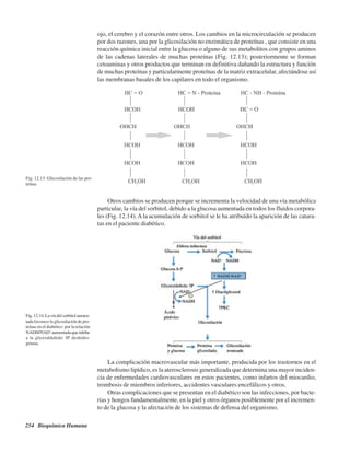 254 Bioquímica Humana
ojo, el cerebro y el corazón entre otros. Los cambios en la microcirculación se producen
por dos razones, una por la glicosilación no enzimática de proteínas , que consiste en una
reacción química inicial entre la glucosa o alguno de sus metabolitos con grupos aminos
de las cadenas laterales de muchas proteínas (Fig. 12.13); posteriormente se forman
cetoaminas y otros productos que terminan en definitiva dañando la estructura y función
de muchas proteínas y particularmente proteínas de la matriz extracelular, afectándose así
las membranas basales de los capilares en todo el organismo.
Fig.12.14.Lavíadelsorbitolaumen-
tada favorece la glicosilación de pro-
teínas en el diabético por la relación
NADH/NAD+
aumentadaqueinhibe
a la gliceraldehido 3P deshidro-
genasa.
Fig. 12.13. Glicosilación de las pro-
teínas.
Otros cambios se producen porque se incrementa la velocidad de una vía metabólica
particular, la vía del sorbitol, debido a la glucosa aumentada en todos los fluidos corpora-
les (Fig. 12.14).Ala acumulación de sorbitol se le ha atribuído la aparición de las catara-
tas en el paciente diabético.
La complicación macrovascular más importante, producida por los trastornos en el
metabolismo lipídico, es la aterosclerosis generalizada que determina una mayor inciden-
cia de enfermedades cardiovasculares en estos pacientes, como infartos del miocardio,
trombosis de miembros inferiores, accidentes vasculares encefálicos y otros.
Otras complicaciones que se presentan en el diabético son las infecciones, por bacte-
rias y hongos fundamentalmente, en la piel y otros órganos posiblemente por el incremen-
to de la glucosa y la afectación de los sistemas de defensa del organismo.
http://MedicoModerno.Blogspot.com
 
