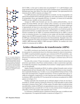 260 Bioquímica Humana
del C3'-OH y se dice que la cadena tiene una polaridad 5'→3'. A pH fisiológico cada
grupo fosfato porta una carga negativa por lo que el polímero posee características de un
polianión que atrae muy fuerte a los iones de carga contraria. Una representación de la
estructura de los ARN se muestra en la figura 13.1.
Los ARN presentan gran heterogeneidad en su tamaño. Los hay tan pequeños con
apenas 80 nucleótidos hasta moléculas gigantes de varios miles de bases. Es por ello que
las propiedades físicas que dependen del peso, el tamaño y la forma de las moléculas
también son muy variables en estas macromoléculas.
Aunque los ARN están formados por una sola cadena polinucleotídica, esta no
adopta una forma fibrilar, sino que se pliega sobre sí misma y en sectores donde las
bases son complementarias forman estructuras duplohelicoidales. Es bueno señalar que
el apareamiento de bases no es tan estricto como en el ADN y así por ejemplo es fre-
cuente encontrarse pares GU e incluso GG. Estos plegamientos con el máximo grado de
apareamiento de bases se pueden representar sobre un plano y se definen como la es-
tructura secundaria de los ARN. La estructura tridimensional de los ARN se conoce
como su estructura terciaria. Los estudios en este campo solo han dado resultados en
algunos tipos de ARN de pequeño tamaño. En las células existen tres tipos principales
deARN que se distinguen tanto estructural como funcionalmente. Tomando como crite-
rio su participación en la síntesis de proteínas se han denominadoARN de transferencia
(ARNt), ARN ribosomal (ARNr) y ARN mensajero (ARNm). Se estudian solo como
modelo, la estructura de los ARNt.
ÁÁcidos ribonucleicos de transferencia (ARNt)
Los ARNt constituyen una familia de especies moleculares cuya función es la
de transportar los aminoácidos hacia los ribosomas durante la síntesis de proteínas.
Los ARNt son polinucleótidos pequeños que contienen de 60 a 95 nucleótidos, aun-
que la mayoría tiene 76. Lo que más se distingue en su composición de bases es la
presencia de numerosas bases modificadas que llegan a constituir hasta 20% de la
molécula.
En todos ellos existen 13 bases invariantes, es decir, todos tienen la misma base en
posiciones equivalentes y hay 8 bases semiinvariantes, es decir, en posiciones equivalen-
tes siempre hay una purina o una pirimidina. En el extremo 3' siempre aparece el trío CCA
que no está apareado.
Según el modelo formulado por Holley la cadena se pliega formando cuatro sectores
de apareamiento de bases llamados tallos. Tres de esos tallos terminan en zonas ensancha-
das no apareadas llamadas asas. Un tallo y su asa correspondiente forman un brazo. Cada
brazo tiene una disposición y longitud característicos. Existe un quinto brazo que es va-
riable en su longitud y composición y es este el que hace que el número de nucleótidos en
los distintosARNt varíe de 60 a 95. Una muestra de la estructura secundaria de losARNt
aparece en la figura 13.2.
Estudios realizados han mostrado que la molécula adopta la forma de una letra L
invertida (Γ). El lado vertical se forma por el brazo D y el del anticodón en tanto el lado
horizontal lo forman el brazo TψC y el tallo aceptor. En ambos lados la molécula forma
una doble hélice similar alADN pero con apareamientos menos estrictos. Cada lado tiene
una longitud de 6 nm y un ancho de 2 a 2,5 nm. Los dos extremos de la L formados por el
anticodón y el CCA del aceptor están separados unos 7,6 nm.
La estructura se mantiene gracias a numerosas interacciones que se establecen entre
sus componentes. Un esquema del modelo se muestra en la figura 13.3.
Fig.13.1. Los ácidos ribonucleicos
sonpolímerosderibonucleótidos.La
figura muestra a la izquierda el eje
covalenteprincipaldondesealternan
la ribosa y el fosfato. Sobresaliendo
hacia la derecha las bases nitrogena-
das. Los átomos están representados
por círculos de colores. El carbono
ennegro,elhidrógenoengris,eloxí-
geno en rojo, el nitrógeno en azul y
el fósforo en amarillo.
http://MedicoModerno.Blogspot.com
 