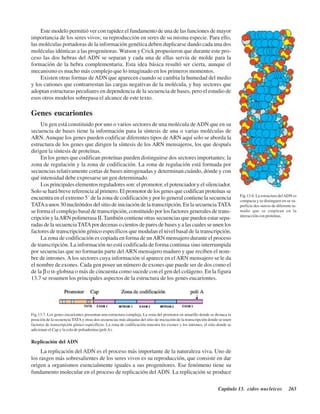 Capítulo 13. Ácidos nucleicos 263
Fig.13.7. Los genes eucariontes presentan una estructura compleja. La zona del promotor en amarillo donde se destaca la
posición de la secuencia TATAy otras dos secuencias más alejadas del sitio de iniciación de la transcripción donde se unen
factores de transcripción génico específicos. La zona de codificación muestra los exones y los intrones, el sitio donde se
adicionan el Cap y la cola de poliadenina (poliA).
Este modelo permitió ver con rapidez el fundamento de una de las funciones de mayor
importancia de los seres vivos; su reproducción en seres de su misma especie. Para ello,
las moléculas portadoras de la información genética deben duplicarse dando cada una dos
moléculas idénticas a las progenitoras. Watson y Crick propusieron que durante este pro-
ceso las dos hebras del ADN se separan y cada una de ellas servía de molde para la
formación de la hebra complementaria. Esta idea básica resultó ser cierta, aunque el
mecanismo es mucho más complejo que lo imaginado en los primeros momentos.
Existen otras formas de ADN que aparecen cuando se cambia la humedad del medio
y los cationes que contrarrestan las cargas negativas de la molécula, y hay sectores que
adoptan estructuras peculiares en dependencia de la secuencia de bases, pero el estudio de
esos otros modelos sobrepasa el alcance de este texto.
Genes eucariontes
Un gen está constituido por uno o varios sectores de una molécula deADN que en su
secuencia de bases tiene la información para la síntesis de una o varias moléculas de
ARN. Aunque los genes pueden codificar diferentes tipos de ARN aquí solo se aborda la
estructura de los genes que dirigen la síntesis de los ARN mensajeros, los que después
dirigen la síntesis de proteínas.
En los genes que codifican proteínas pueden distinguirse dos sectores importantes: la
zona de regulación y la zona de codificación. La zona de regulación está formada por
secuencias relativamente cortas de bases nitrogenadas y determinan cuándo, dónde y con
qué intensidad debe expresarse un gen determinado.
Los principales elementos reguladores son: el promotor, el potenciador y el silenciador.
Solo se hará breve referencia al primero. El promotor de los genes que codifican proteínas se
encuentra en el extremo 5´ de la zona de codificación y por lo general contiene la secuencia
TATAa unos 30 nucleótidos del sitio de iniciación de la transcripción. En la secuencia TATA
se forma el complejo basal de transcripción, constituido por los factores generales de trans-
cripción y laARN polimerasa II.También contiene otras secuencias que pueden estar sepa-
radas de la secuencia TATApor decenas o cientos de pares de bases y a las cuales se unen los
factores de transcripción génico específicos que modulan el nivel basal de la transcripción.
La zona de codificación es copiada en forma de unARN mensajero durante el proceso
de transcripción. La información no está codificada de forma continua sino interrumpida
por secuencias que no formarán parte delARN mensajero maduro y que reciben el nom-
bre de intrones.A los sectores cuya información sí aparece en elARN mensajero se le da
el nombre de exones. Cada gen posee un número de exones que puede ser de dos como el
de la β o α-globina o más de cincuenta como sucede con el gen del colágeno. En la figura
13.7 se resumen los principales aspectos de la estructura de los genes eucariontes.
Fig.13.6. La estructura delADN es
compacta y se distinguen en su su-
perficie dos surcos de diferente ta-
maño que se emplean en la
interacción con proteínas.
Replicación del ADN
La replicación del ADN es el proceso más importante de la naturaleza viva. Uno de
los rasgos más sobresalientes de los seres vivos es su reproducción, que consiste en dar
origen a organismos esencialmente iguales a sus progenitores. Ese fenómeno tiene su
fundamento molecular en el proceso de replicación del ADN. La replicación se produce
http://MedicoModerno.Blogspot.com
 