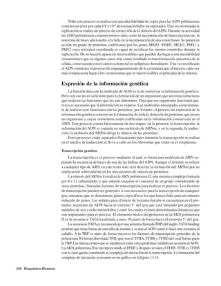 268 Bioquímica Humana
Todo este proceso se realiza con una alta fidelidad de copia pues lasADN polimerasas
cometen un error por cada 108
a 1010
desoxinucleótidos incorporados. Una vez terminada la
replicación se realiza un proceso de corrección de la síntesis delADN. Durante su actividad
lasADN polimerasas cometen errores tales como la incorporación de bases incorrectas, la
inserción de bases adicionales o la falla en la incorporación de una o más bases. Se ponen en
acción un grupo de proteínas codificadas por los genes MSH1, MSH2, MLH2, PMS1 y
PMS2 cuya actividad coordinada es capaz de rectificar los errores cometidos durante la
replicación. De no hacerlo aparecen microsatélites que pueden dar lugar a una inestabilidad
cromosómica que en algunos casos trae como resultado la transformación cancerosa de la
célula, como sucede con el cáncer colorectal no polipósico hereditario. Una vez rectificado
elADN comienza el proceso de empaquetamiento de la cromatina que al hacerse cada vez
más compacta da lugar a los cromosomas que se hacen visibles al principio de la mitosis.
Expresión de la información genética
La función única de la molécula deADN es la de conservar la información genética.
Pero con eso no es suficiente para la formación de un organismo que necesita estructuras
que realicen las funciones que les son inherentes. Para que ese organismo funcional apa-
rezca es necesario que la información se exprese. Las moléculas encargadas esencialmen-
te de realizar esas funciones son las proteínas, por lo tanto, el proceso de expresión de la
información genética consiste en la formación de toda la dotación de proteínas que posee
un organismo y cuyas estructuras están codificadas en la información conservada en el
ADN. Este proceso consta básicamente de dos etapas; en la primera, la transcripción, la
información del ADN es copiada en una molécula de ARNm, y en la segunda, la traduc-
ción, la molécula delARNm dirige la síntesis de las proteínas.
Estos procesos están separados físicamente pues mientras la transcripción se realiza
en el núcleo, la traducción se lleva a cabo en los ribosomas que están en el citoplasma.
Transcripción genética
La transcripción es el proceso mediante el cual se forma una molécula de ARN co-
piando la secuencia de bases de una de las hebras delADN. Aunque el término se refiere
a cualquier tipo de ARN en este texto solo será descrita la formación del ARNm por su
implicación sobresaliente en los mecanismos de síntesis de proteínas.
La síntesis delARNm lo realiza laARN polimerasa II, una enzima compleja formada
por 8 a 12 subunidades y que además requiere el concurso de un grupo considerable de
otras proteínas, llamadas factores de transcripción para realizar el proceso. Los factores
de transcripción pueden ser generales si son necesarios para la transcripción de cualquier
gen, mientras que se denominan génico específicos los que hacen falta para un número
reducido de genes. Las señales para el inicio de la transcripción se encuentran en el pro-
motor, segmento de ADN hacia el extremo 5´ del gen que está formado por pequeños
módulos de seis a ocho nucleótidos y entre los cuales existen determinadas distancias que
son importantes para el proceso. El elemento básico del promotor de laARN polimerasa
II es la secuencia TATA localizada a unos 30 pares de bases hacia el extremo 5´ del gen.
LasecuenciaTATAesreconocidaporunaproteínallamadaTBP(delinglésTATAbinding
protein) que tiene forma de una silla de montar y se une alADN como lo hace una montura al
caballo. A la TBP se unen de forma sucesiva los factores de transcripción generales de la
polimerasa II (forma abreviada TFII) que son el TFIIA, TFIIB y TFIID del cual forma parte
laTBP.LasinteraccionesqueseestablecenentreestasproteínasestabilizansuuniónalADN.
LaARNpolimerasaIIseincorporaunidaalTFIIEydespuésseunenelTFIIF,TFIIGyTFIIH
con lo cual queda constituido el complejo de iniciación de la transcripción. La formación del
complejo de iniciación se resume en un gráfico en la figura 13.14.
http://MedicoModerno.Blogspot.com
 