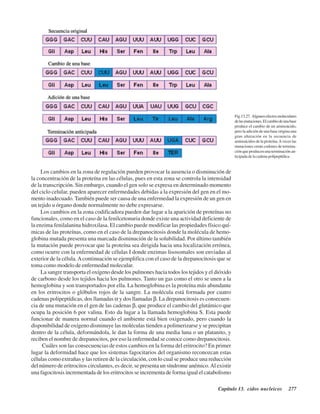 Capítulo 13. Ácidos nucleicos 277
Los cambios en la zona de regulación pueden provocar la ausencia o disminución de
la concentración de la proteína en las células, pues en esta zona se controla la intensidad
de la transcripción. Sin embargo, cuando el gen solo se expresa en determinado momento
del ciclo celular, pueden aparecer enfermedades debidas a la expresión del gen en el mo-
mento inadecuado. También puede ser causa de una enfermedad la expresión de un gen en
un tejido u órgano donde normalmente no debe expresarse.
Los cambios en la zona codificadora pueden dar lugar a la aparición de proteínas no
funcionales, como en el caso de la fenilcetonuria donde existe una actividad deficiente de
la enzima fenilalanina hidroxilasa. El cambio puede modificar las propiedades físico quí-
micas de las proteínas, como en el caso de la drepanocitosis donde la molécula de hemo-
globina mutada presenta una marcada disminución de la solubilidad. Por último también
la mutación puede provocar que la proteína sea dirigida hacia una localización errónea,
como ocurre con la enfermedad de células I donde enzimas lisosomales son enviadas al
exterior de la célula.Acontinuación se ejemplifica con el caso de la drepanocitosis que se
toma como modelo de enfermedad molecular.
La sangre transporta el oxígeno desde los pulmones hacia todos los tejidos y el dióxido
de carbono desde los tejidos hacia los pulmones. Tanto un gas como el otro se unen a la
hemoglobina y son transportados por ella. La hemoglobina es la proteína más abundante
en los eritrocitos o glóbulos rojos de la sangre. La molécula está formada por cuatro
cadenas polipeptídicas, dos llamadas α y dos llamadas β. La drepanocitosis es consecuen-
cia de una mutación en el gen de las cadenas β, que produce el cambio del glutámico que
ocupa la posición 6 por valina. Esto da lugar a la llamada hemoglobina S. Esta puede
funcionar de manera normal cuando el ambiente está bien oxigenado, pero cuando la
disponibilidad de oxígeno disminuye las moléculas tienden a polimerizarse y se precipitan
dentro de la célula, deformándola, le dan la forma de una media luna o un platanito, y
reciben el nombre de drepanocitos, por eso la enfermedad se conoce como drepanocitosis.
¿Cuáles son las consecuencias de estos cambios en la forma del eritrocito? En primer
lugar la deformidad hace que los sistemas fagocitarios del organismo reconozcan estas
células como extrañas y las retiren de la circulación, con lo cual se produce una reducción
del número de eritrocitos circulantes, es decir, se presenta un síndrome anémico.Al existir
una fagocitosis incrementada de los eritrocitos se incrementa de forma igual el catabolismo
Fig.13.27. Algunosefectosmoleculares
delasmutaciones.Elcambiodeunabase
produce el cambio de un aminoácido,
pero la adición de una base origina una
gran alteración en la secuencia de
aminoácidos de la proteína.Aveces las
mutaciones crean codones de termina-
ción que producen una terminación an-
ticipada de la cadena polipeptídica.
http://MedicoModerno.Blogspot.com
 