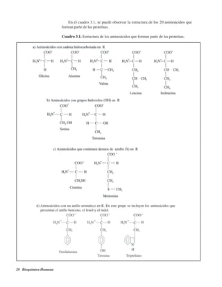 28 Bioquímica Humana
d) Aminoácidos con un anillo aromático en R. En este grupo se incluyen los aminoácidos que
presentan el anillo benceno, el fenol y el indol.
En el cuadro 3.1, se puede observar la estructura de los 20 aminoácidos que
forman parte de las proteínas.
Cuadro 3.1. Estructura de los aminoácidos que forman parte de las proteínas.
http://MedicoModerno.Blogspot.com
 