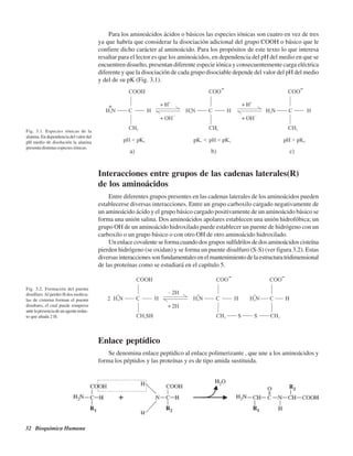 32 Bioquímica Humana
Para los aminoácidos ácidos o básicos las especies iónicas son cuatro en vez de tres
ya que habría que considerar la disociación adicional del grupo COOH o básico que le
confiere dicho carácter al aminoácido. Para los propósitos de este texto lo que interesa
resaltar para el lector es que los aminoácidos, en dependencia del pH del medio en que se
encuentren disuelto, presentan diferente especie iónica y consecuentemente carga eléctrica
diferente y que la disociación de cada grupo disociable depende del valor del pH del medio
y del de su pK (Fig. 3.1).
Fig. 3.1. Especies iónicas de la
alanina. En dependencia del valor del
pH medio de disolución la alanina
presenta distintas especies iónicas.
Fig. 3.2. Formación del puente
disulfuro.Al perder H dos molécu-
las de cisterna forman el puente
disulturo, el cual puede romperse
antelapresenciadeunagentereduc-
to que añada 2 H.
Interacciones entre grupos de las cadenas laterales(R)
de los aminoácidos
Entre diferentes grupos presentes en las cadenas laterales de los aminoácidos pueden
establecerse diversas interacciones. Entre un grupo carboxilo cargado negativamente de
un aminoácido ácido y el grupo básico cargado positivamente de un aminoácido básico se
forma una unión salina. Dos aminoácidos apolares establecen una unión hidrofóbica; un
grupo OH de un aminoácido hidroxilado puede establecer un puente de hidrógeno con un
carboxilo o un grupo básico o con otro OH de otro aminoácido hidroxilado.
Un enlace covalente se forma cuando dos grupos sulfidrilos de dos aminoácidos cisteína
pierden hidrógeno (se oxidan) y se forma un puente disulfuro (S-S) (ver figura 3.2). Estas
diversasinteraccionessonfundamentalesenelmantenimientodelaestructuratridimensional
de las proteínas como se estudiará en el capítulo 5.
Enlace peptídico
Se denomina enlace peptídico al enlace polimerizante , que une a los aminoácidos y
forma los péptidos y las proteínas y es de tipo amida sustituida.
http://MedicoModerno.Blogspot.com
 